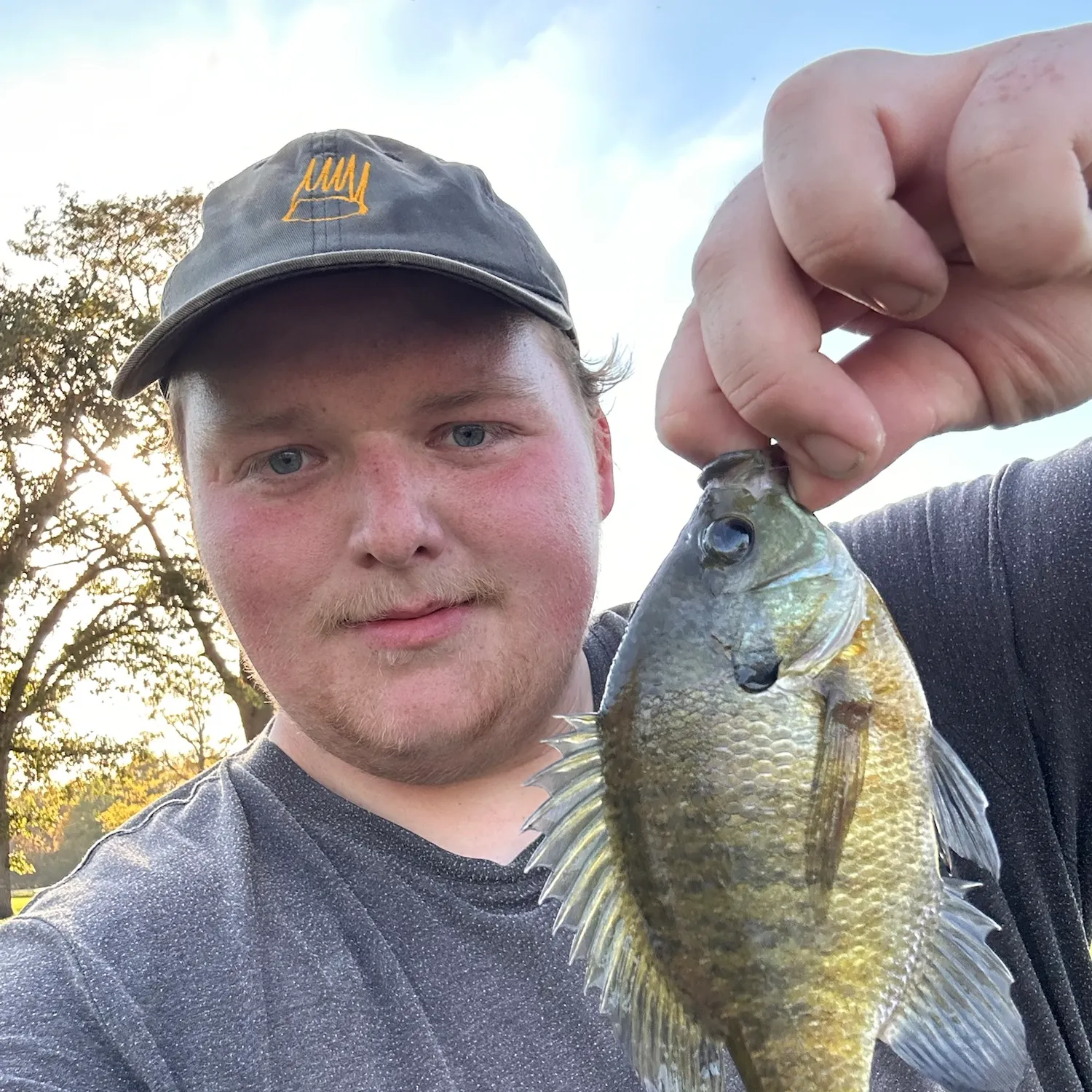 Bluegill caught on Fishbrain