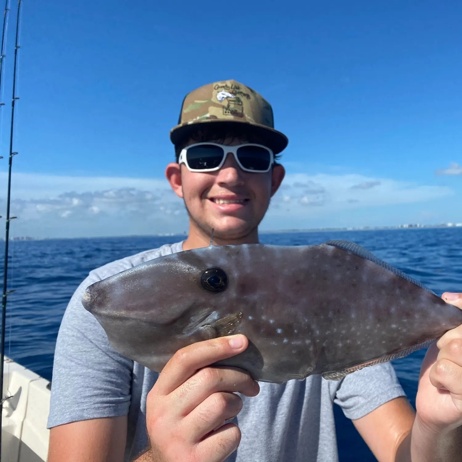The most recent Unicorn leatherjacket filefish catches on Fishbrain