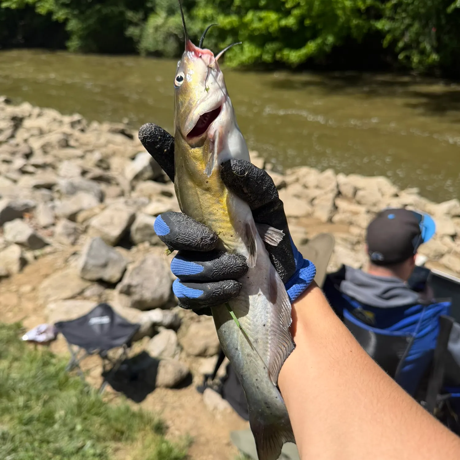 catch