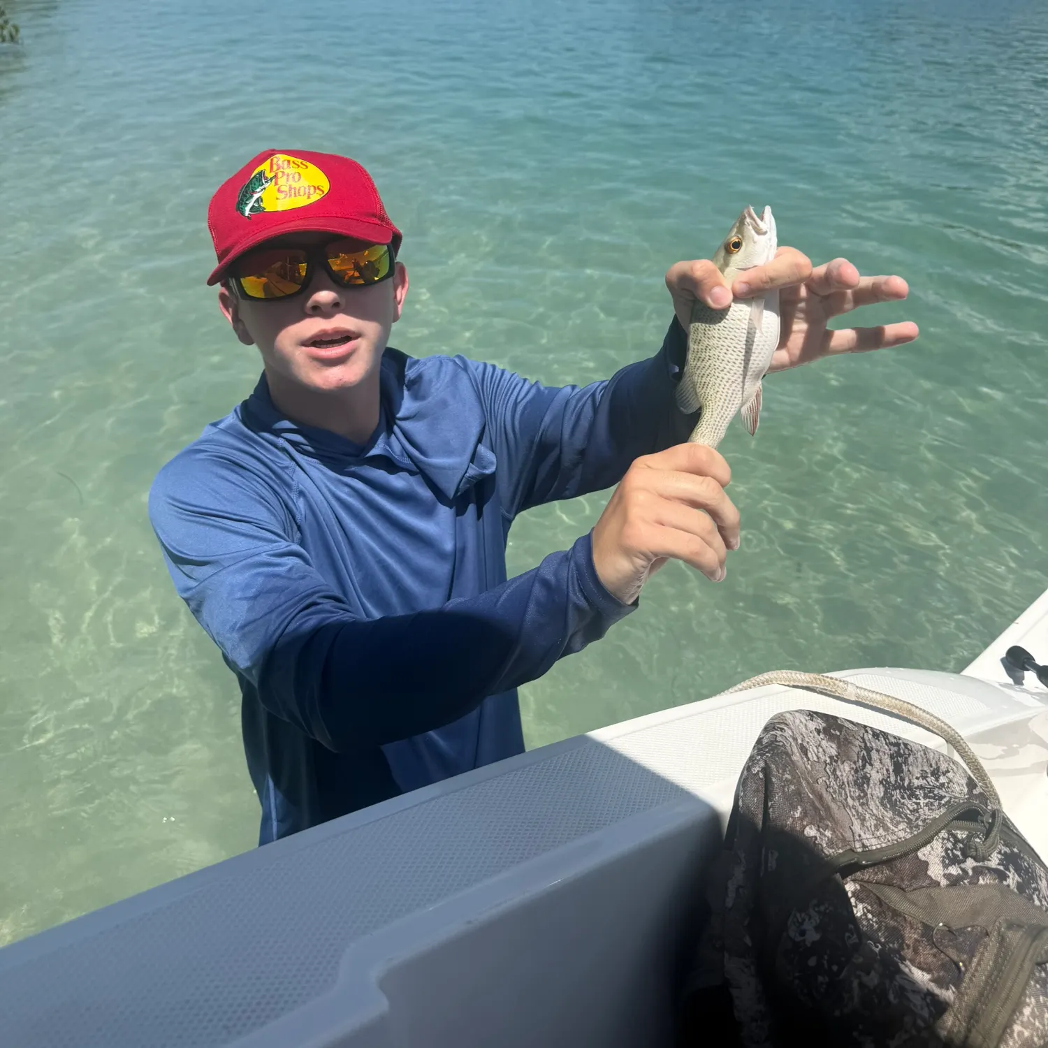 Mangrove snapper caught on Fishbrain