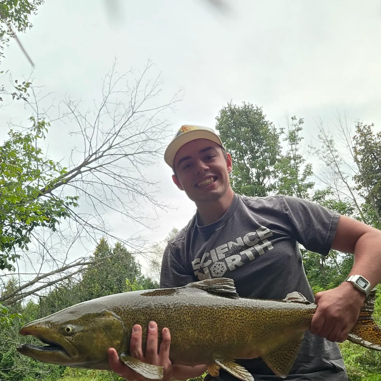 Chinook salmon caught on Fishbrain