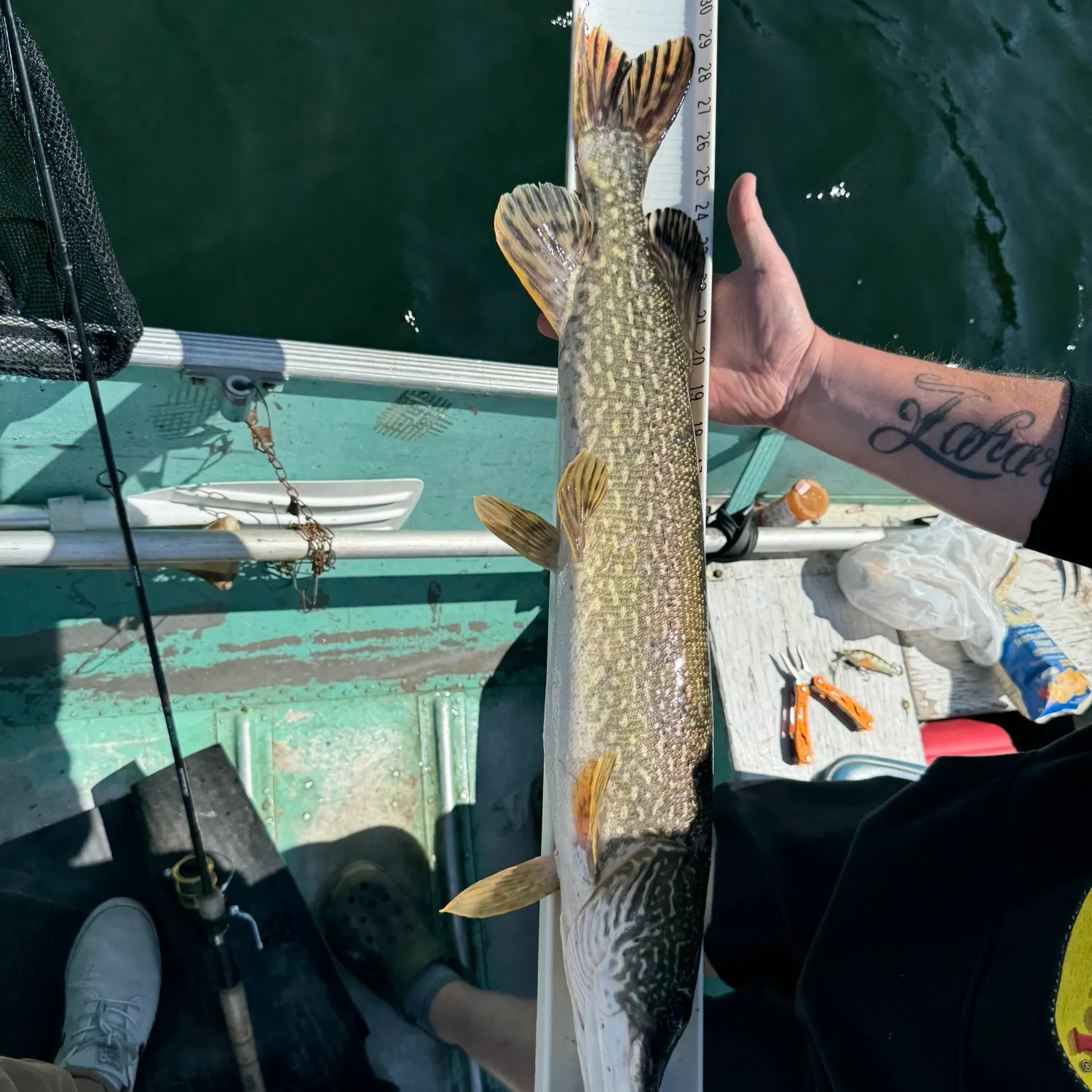 recently logged catches