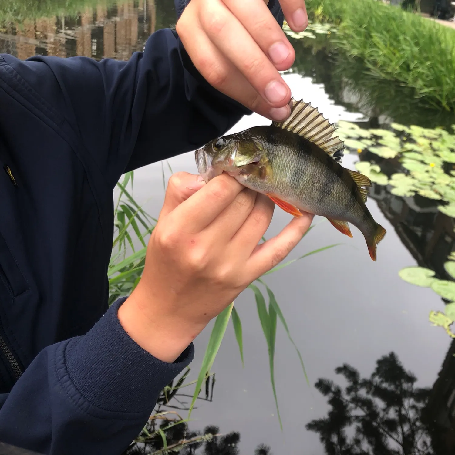 catch