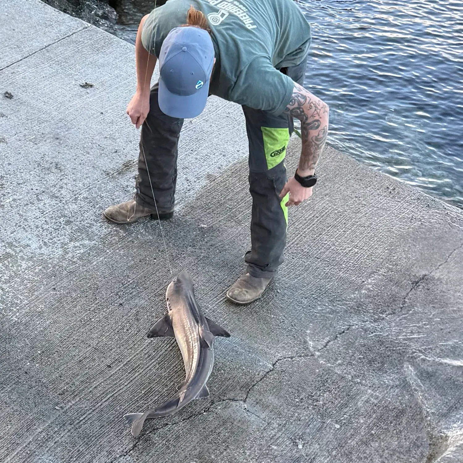 The most recent Pacific spiny dogfish catches on Fishbrain