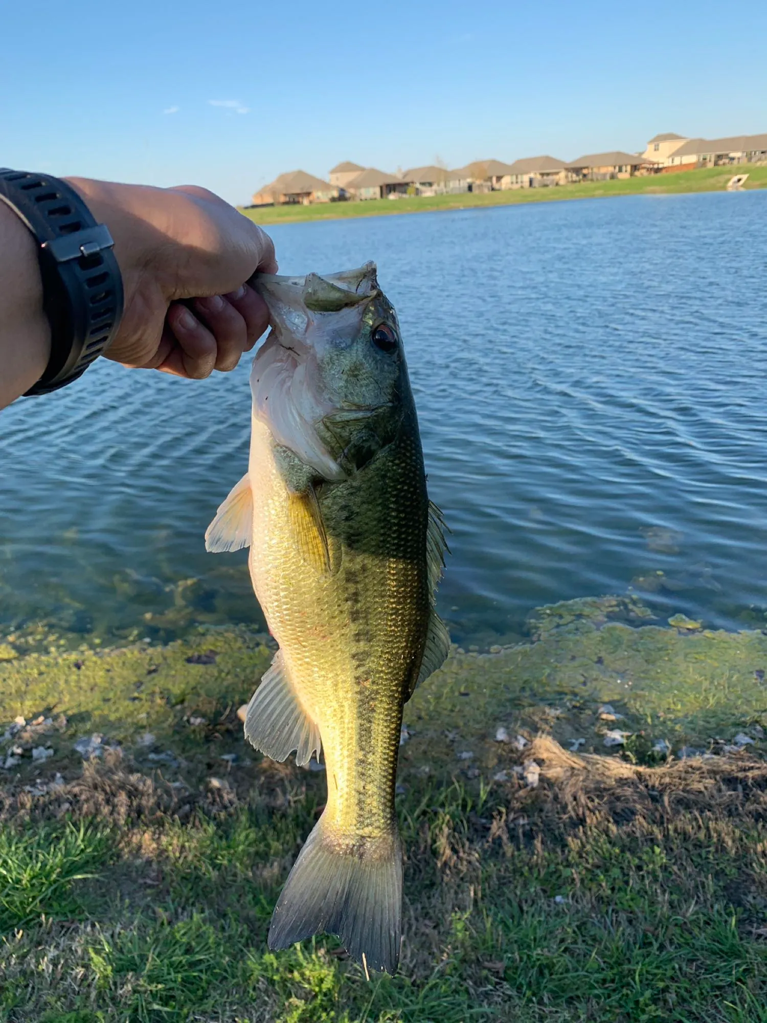 Post image from gtorres5898