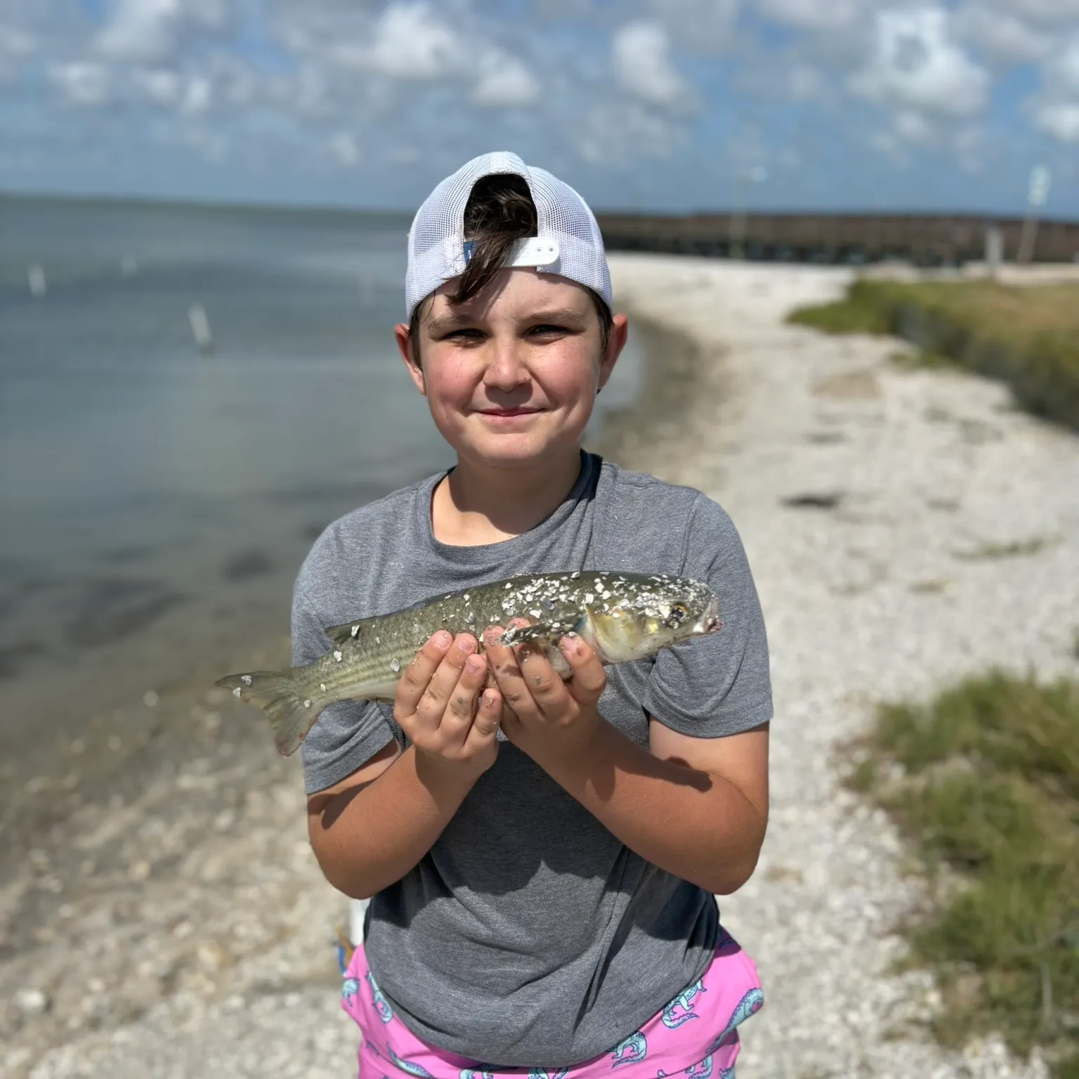 The most recent Striped mullet catches on Fishbrain