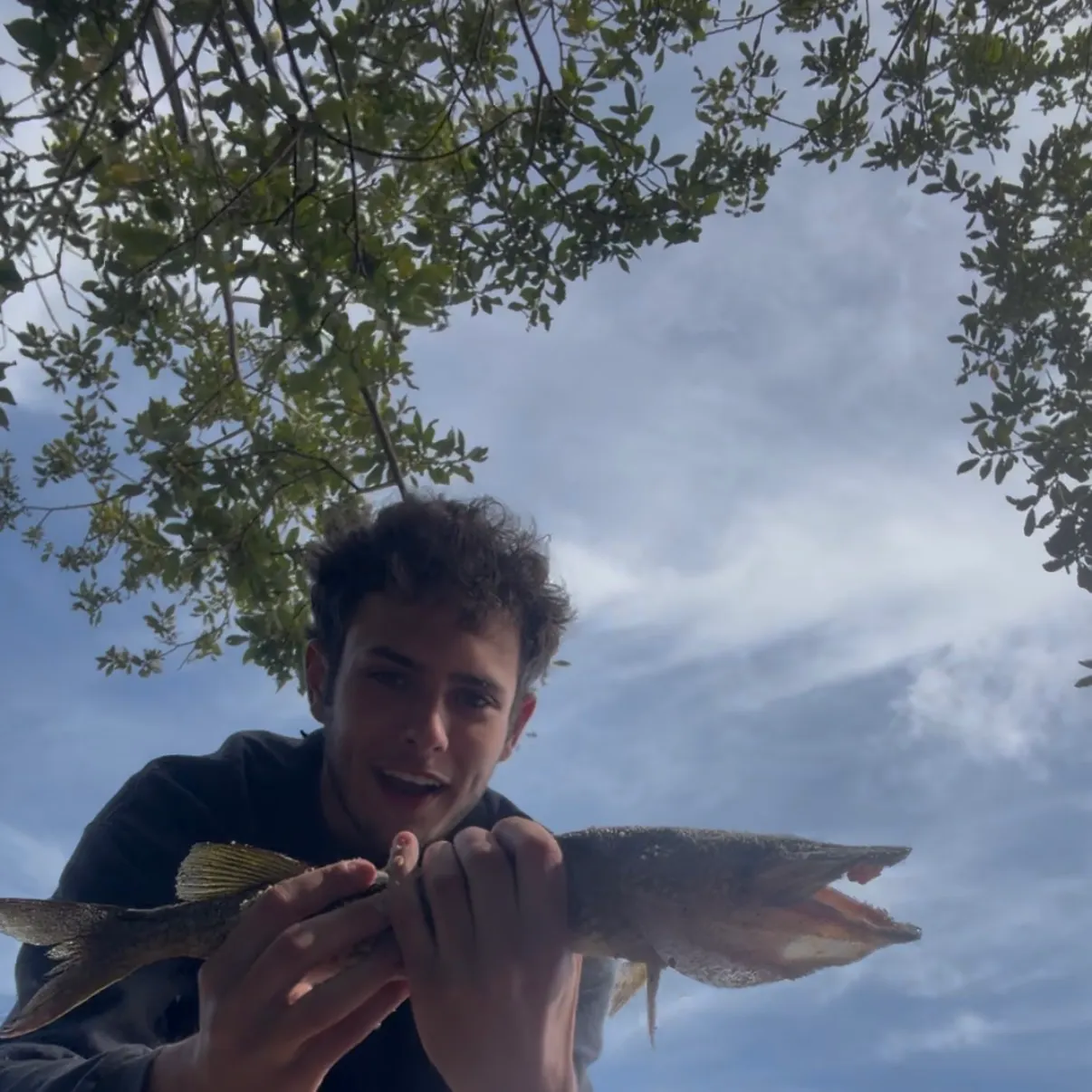 Chain pickerel caught on Fishbrain