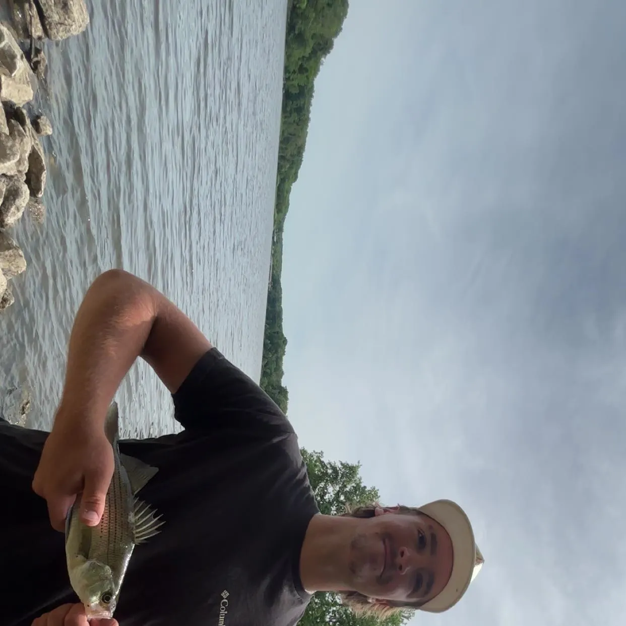 The most recent White bass catches on Fishbrain