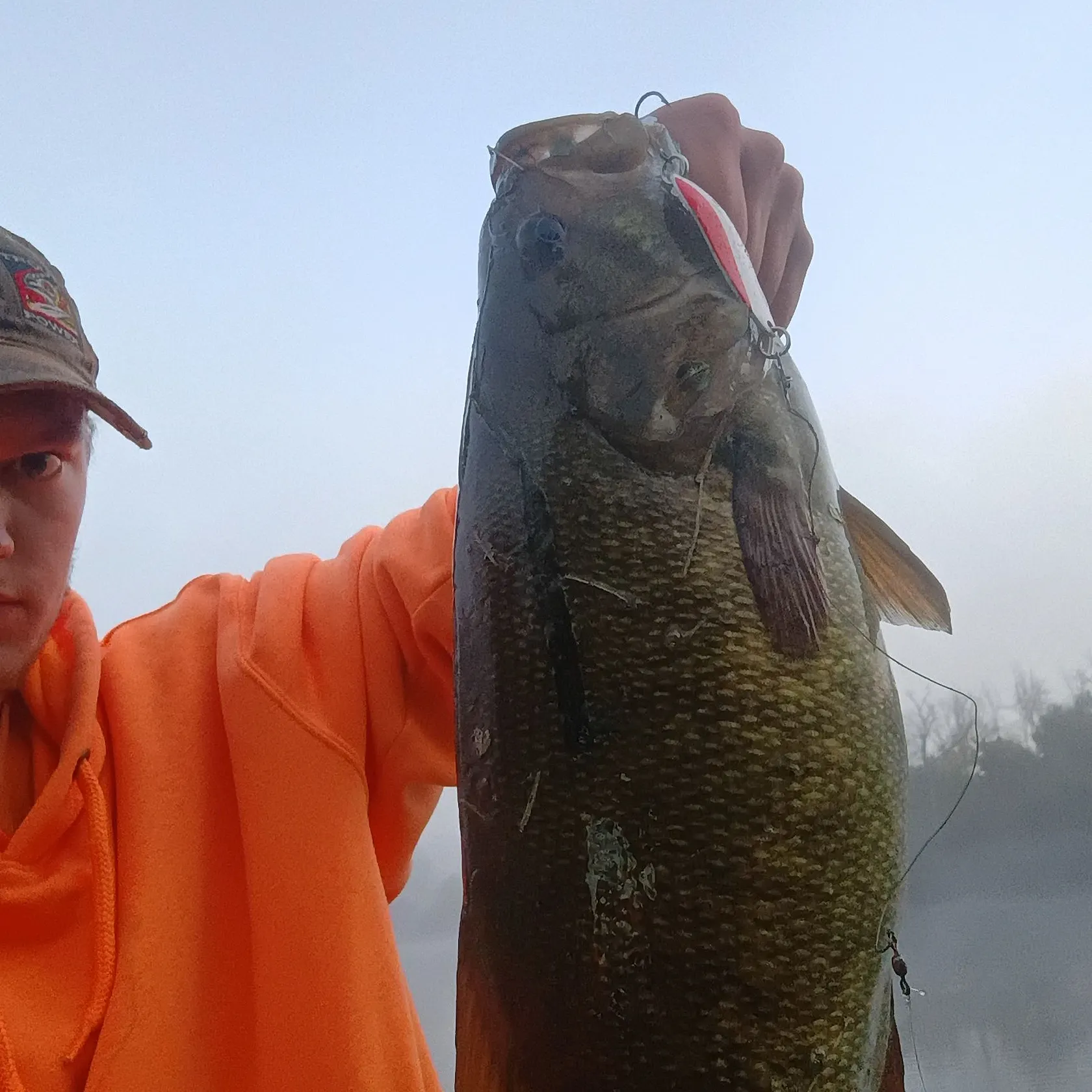Smallmouth bass caught on Fishbrain