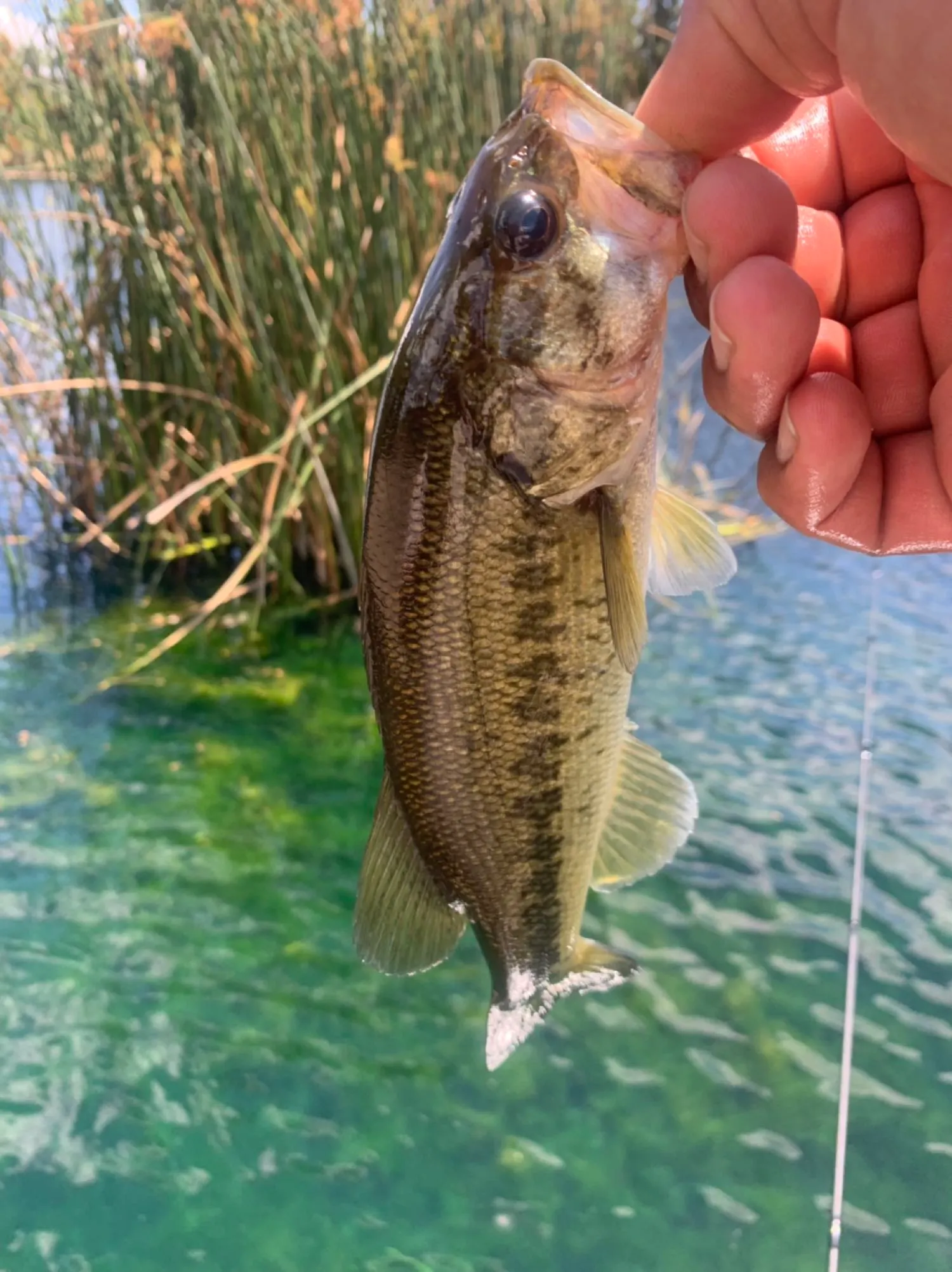 Post image from abelpajares