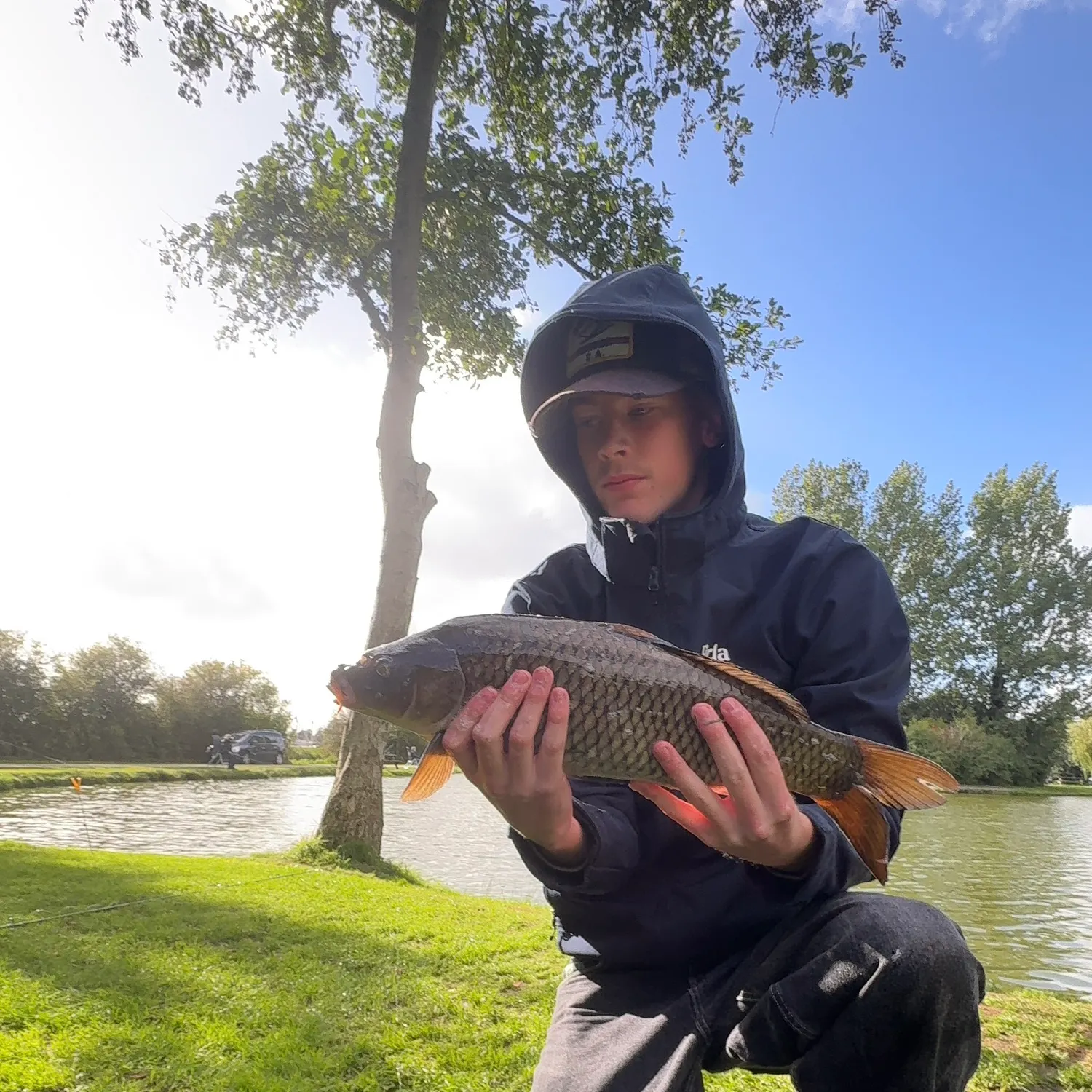 Common carp caught on Fishbrain