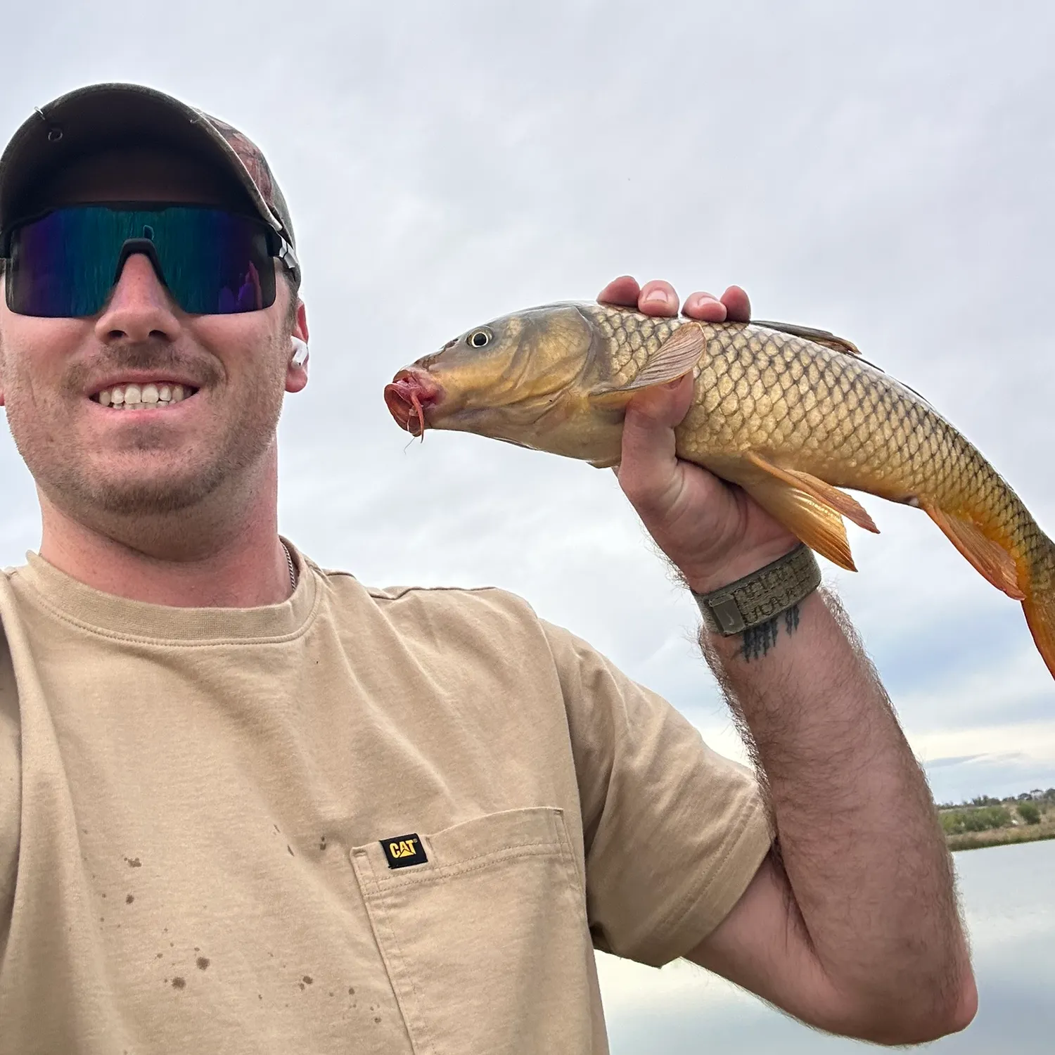 Common carp caught on Fishbrain