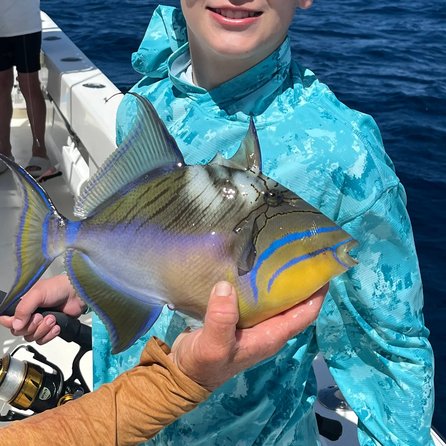 The most recent Queen triggerfish catches on Fishbrain