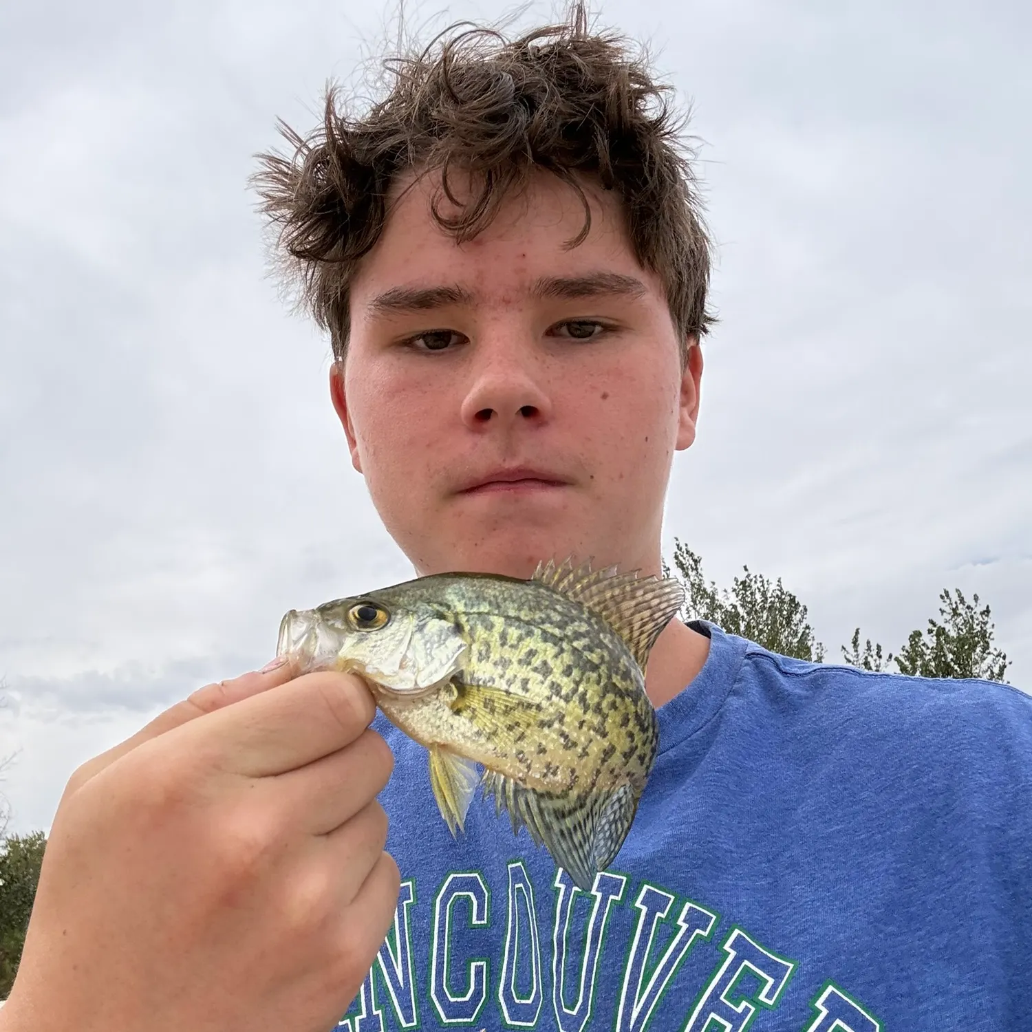 Black crappie caught on Fishbrain