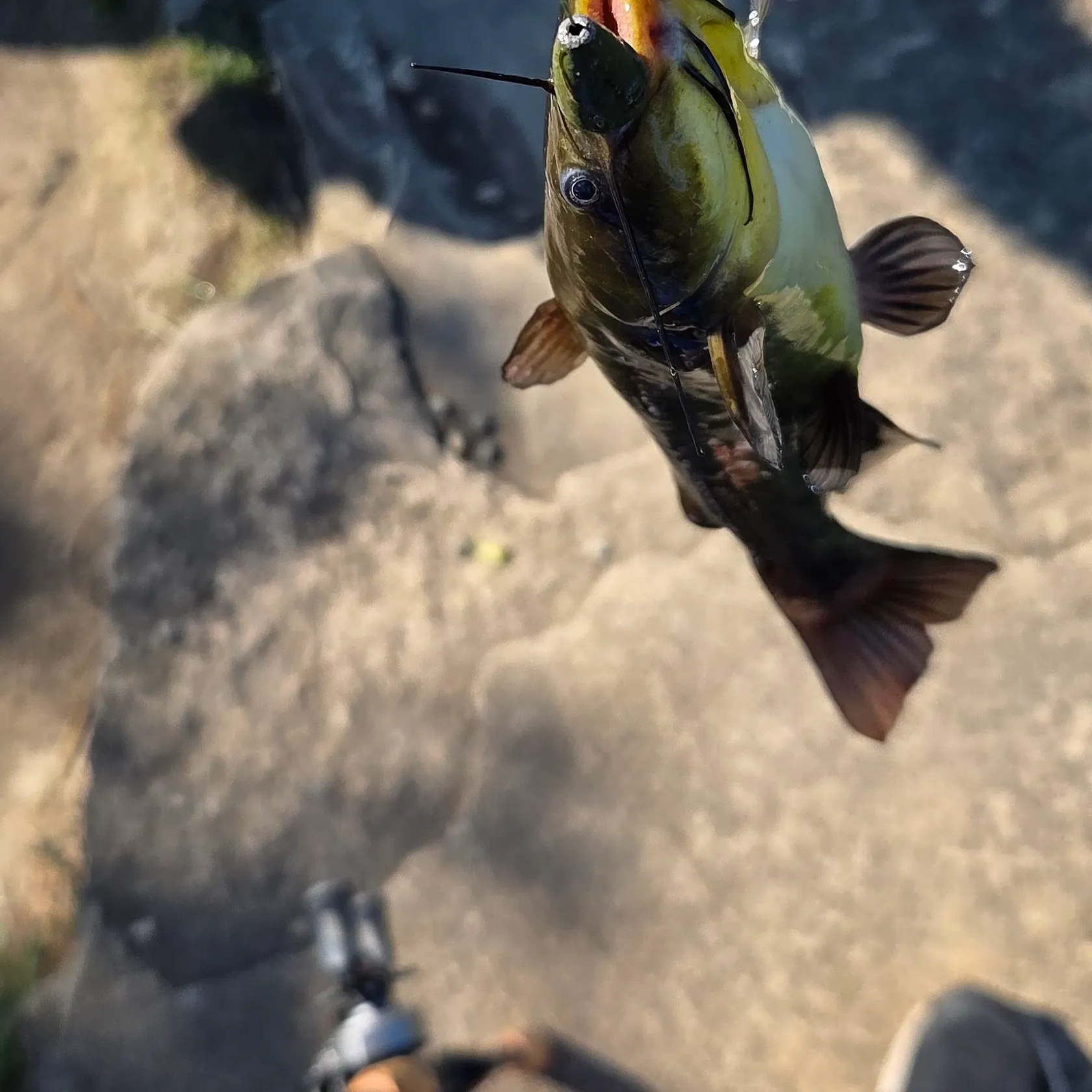 catch