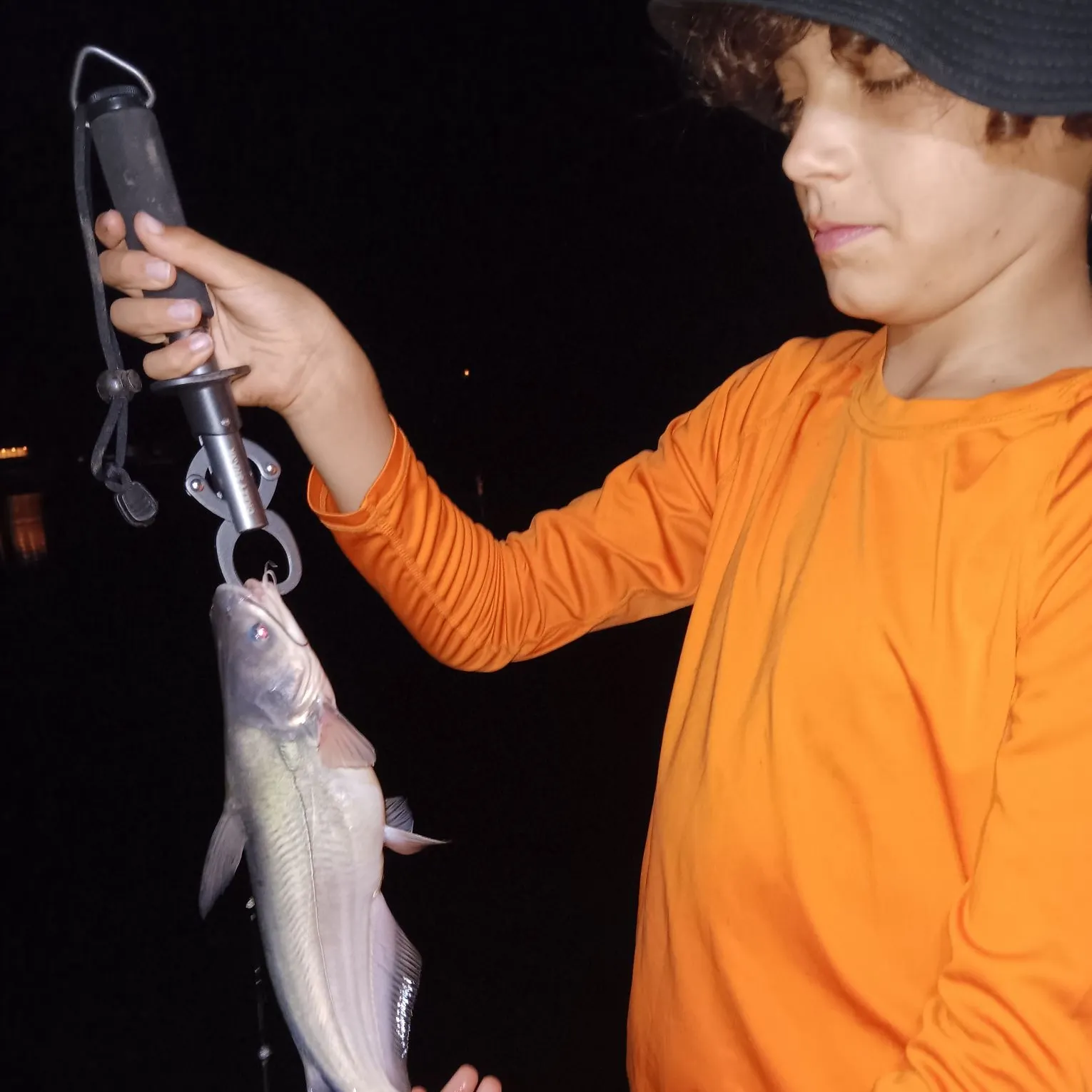 Blue catfish caught on Fishbrain