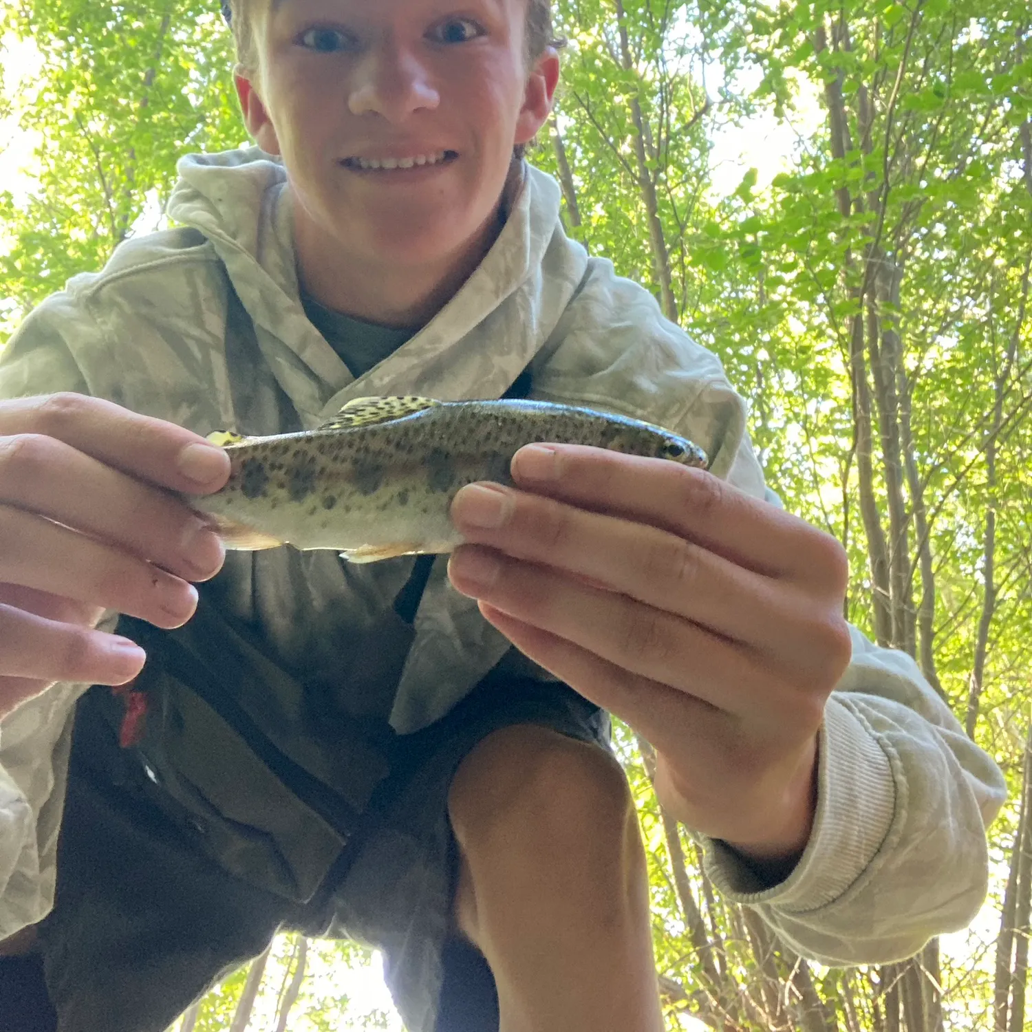 The most recent Yellowstone cutthroat trout catches on Fishbrain