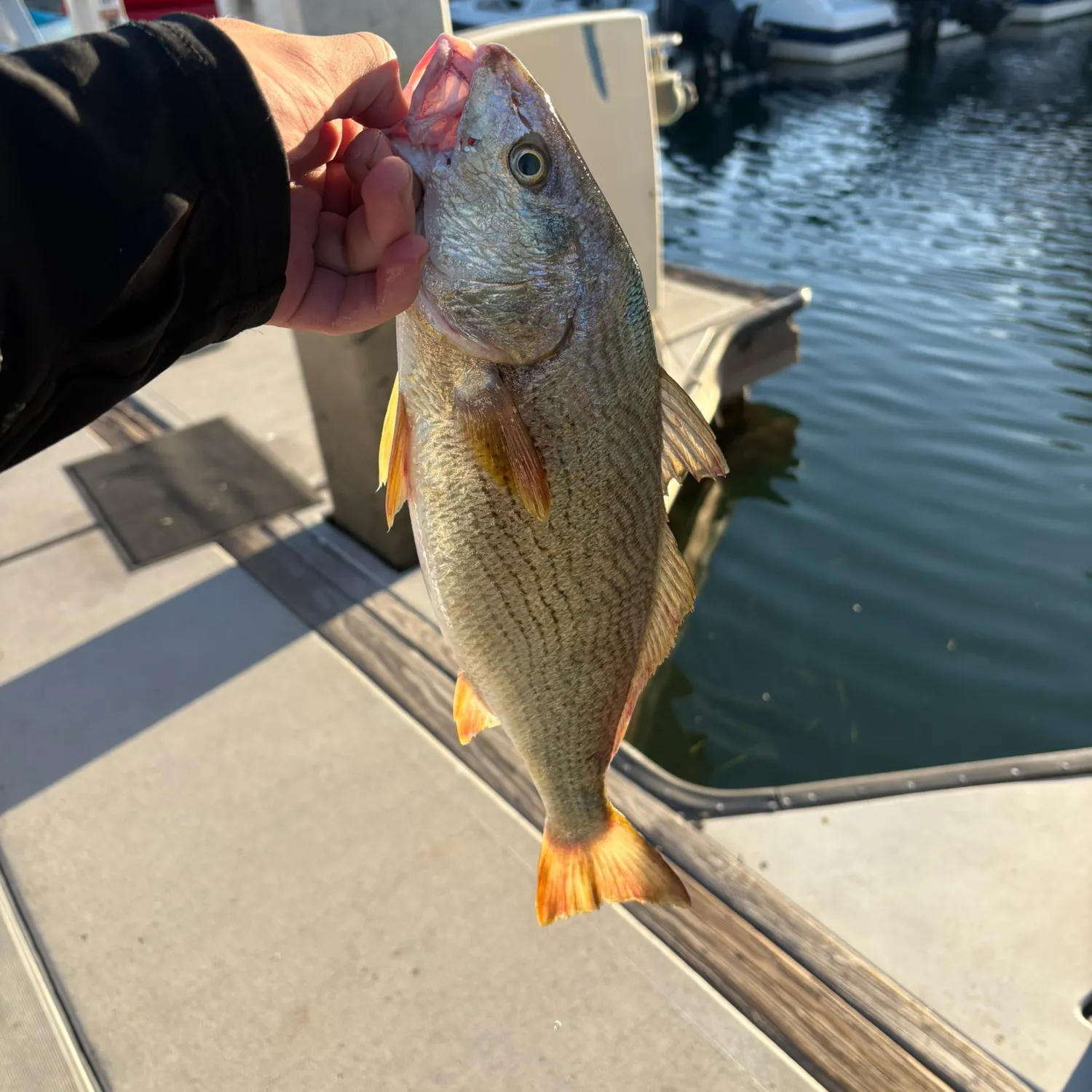 catch