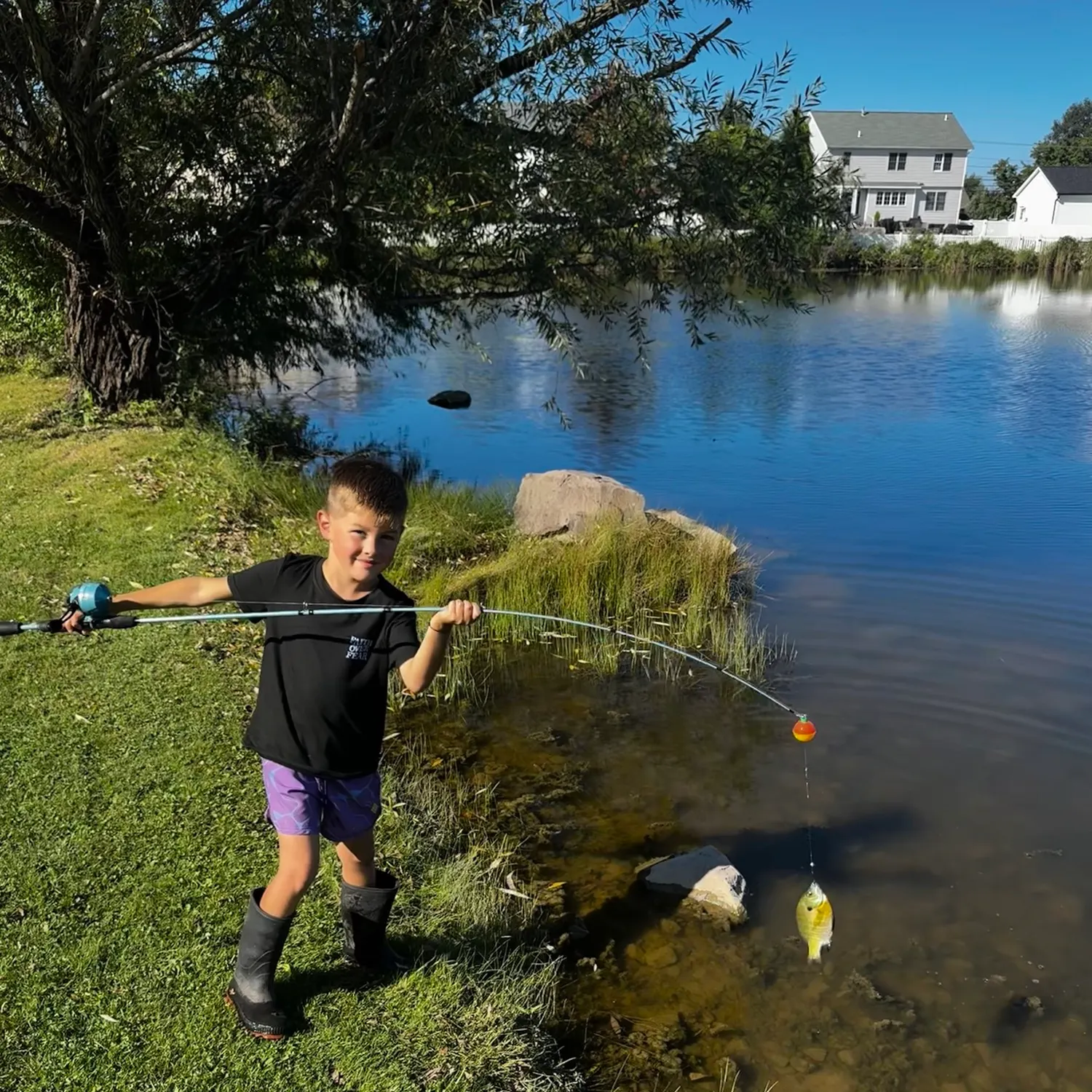 Bluegill caught on Fishbrain