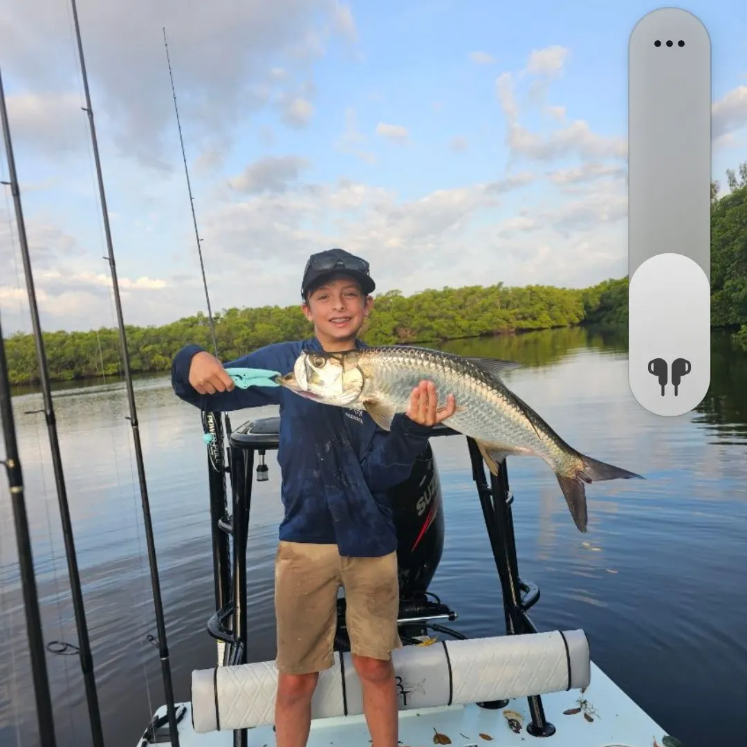 The most recent Tarpon catches on Fishbrain