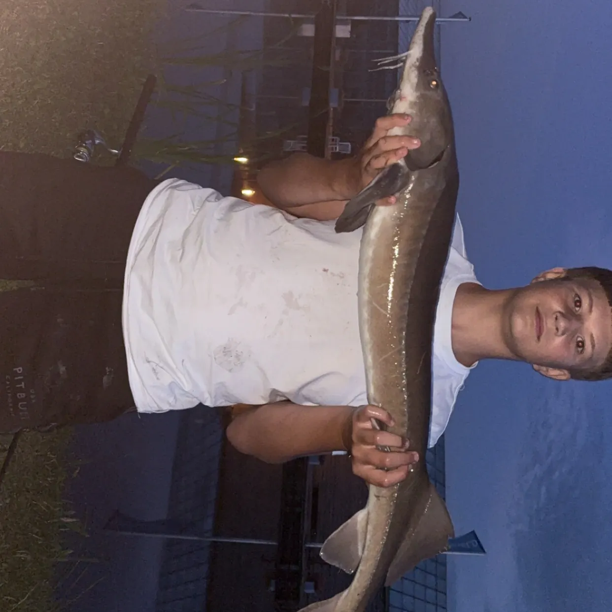 The most recent Siberian sturgeon catches on Fishbrain