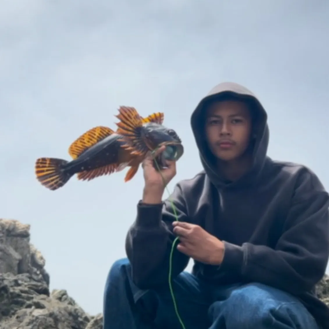 The most recent Cabezon catches on Fishbrain
