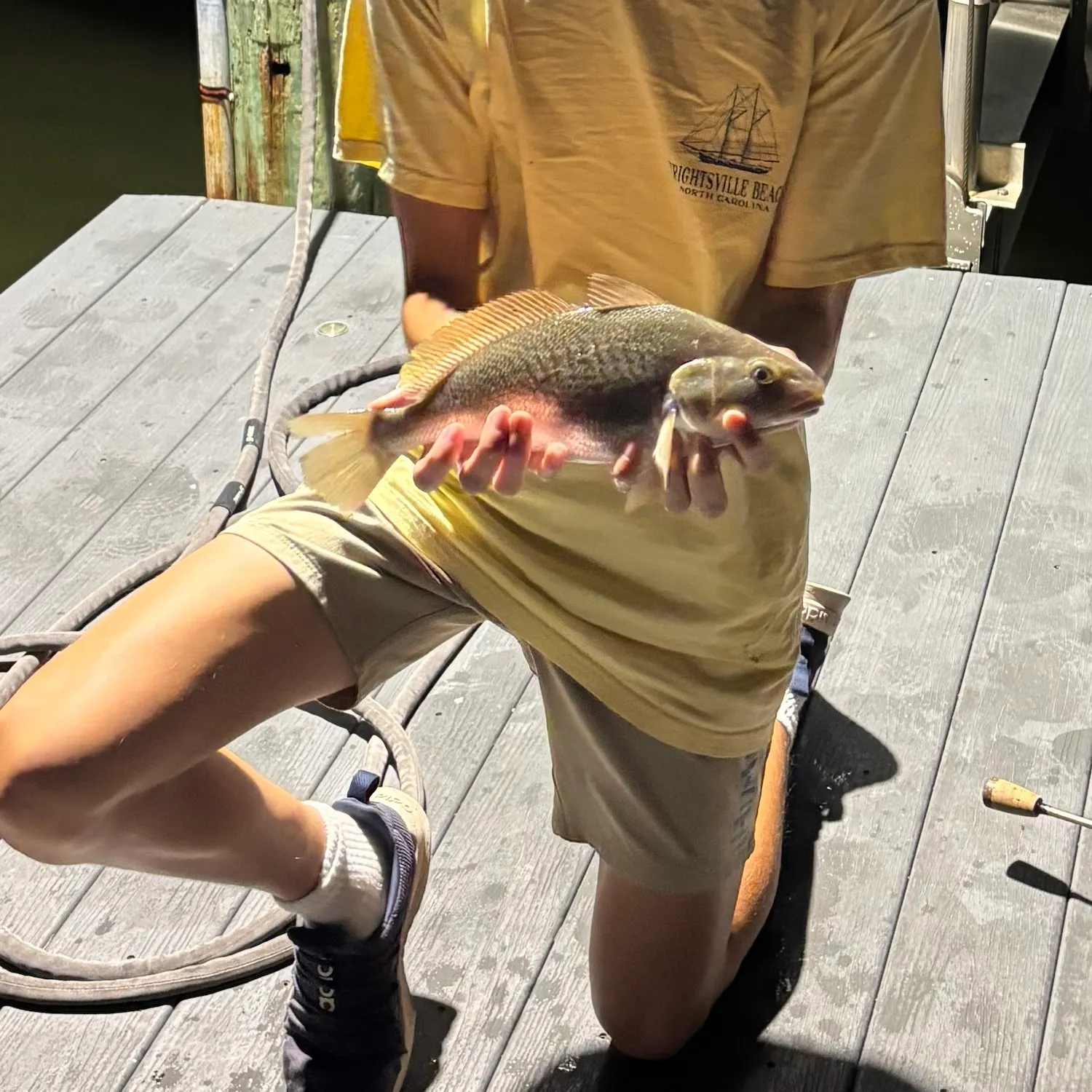 Atlantic croaker caught on Fishbrain