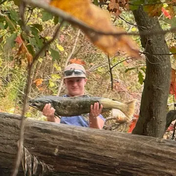 Chinook salmon caught on Fishbrain