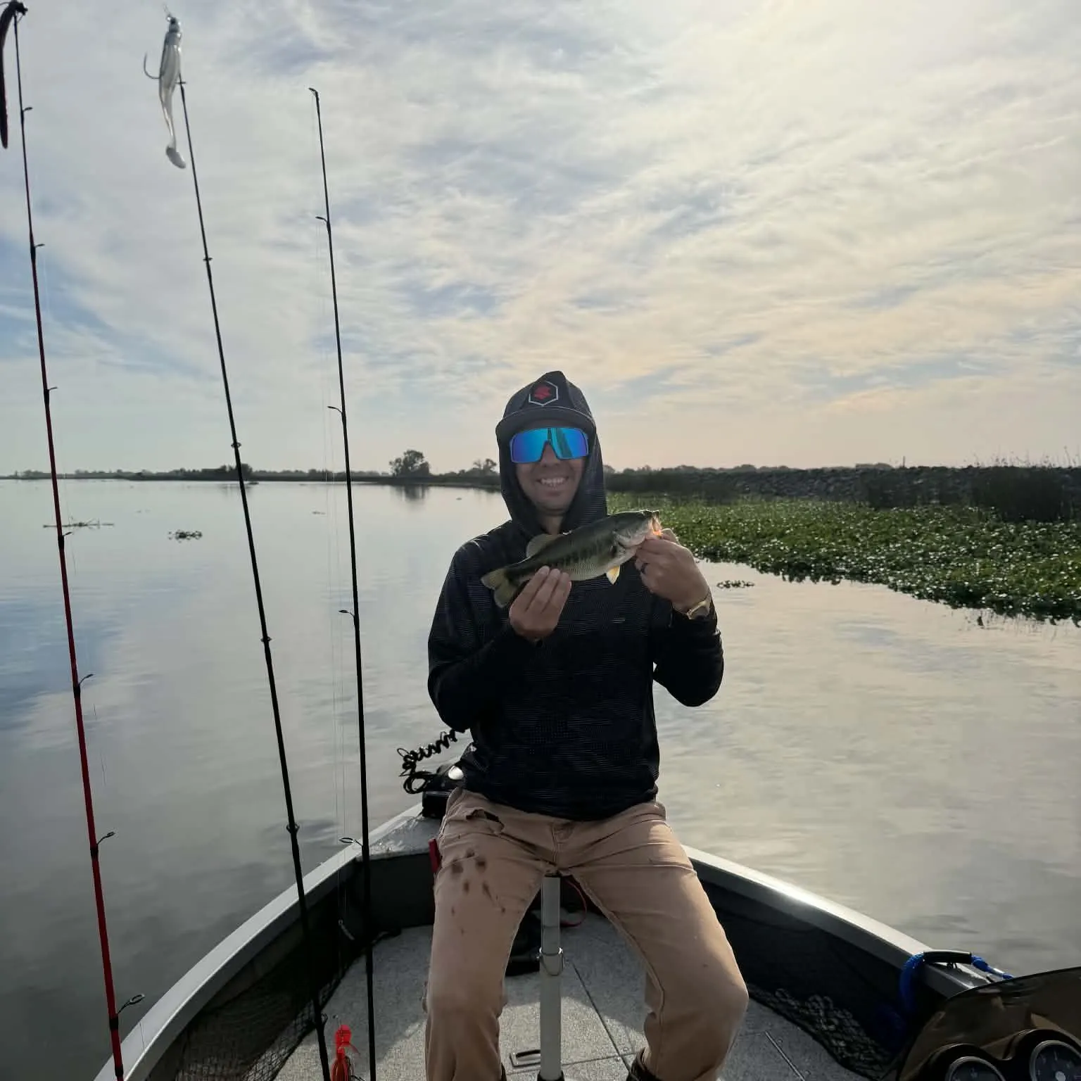 Largemouth bass caught on Fishbrain