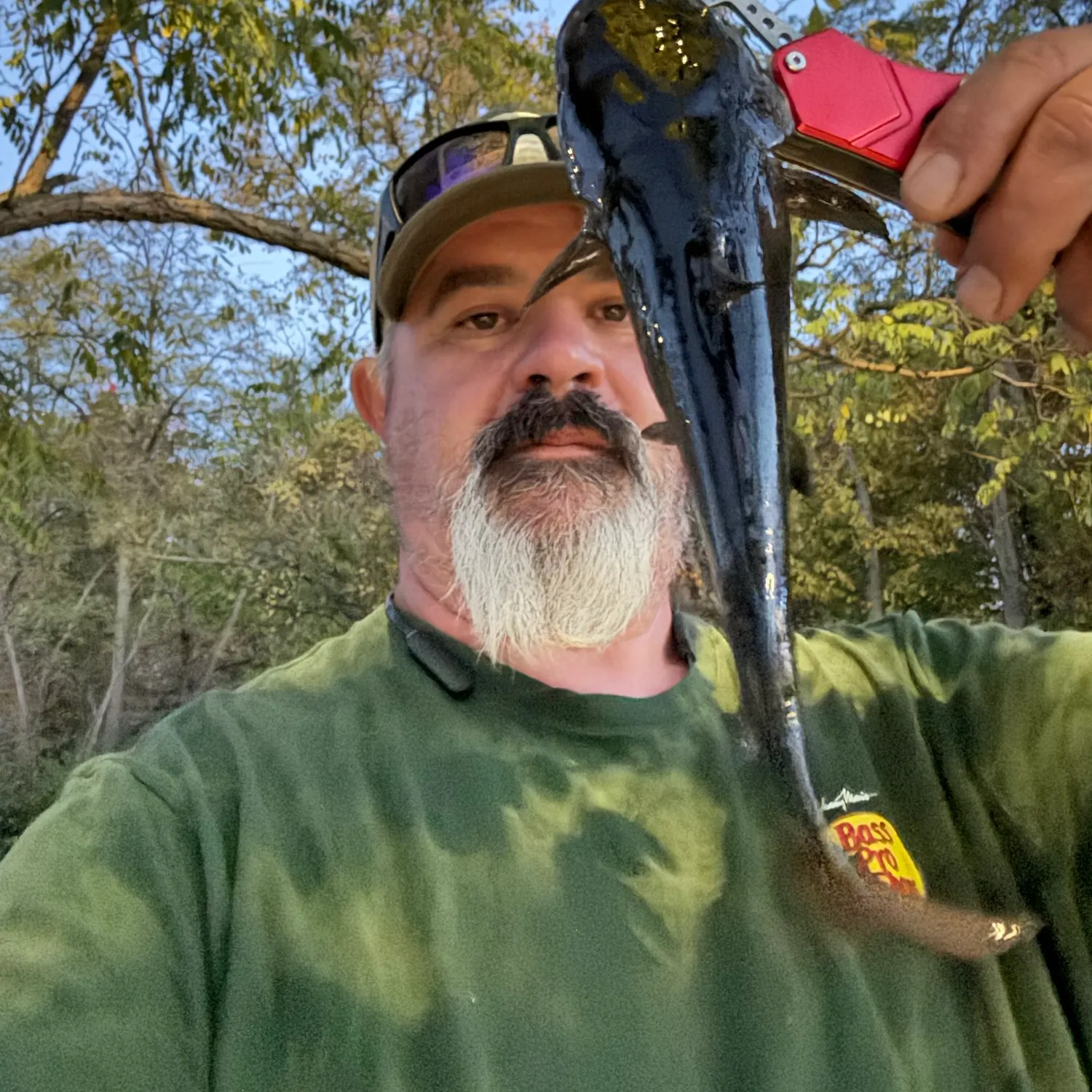 Black bullhead caught on Fishbrain
