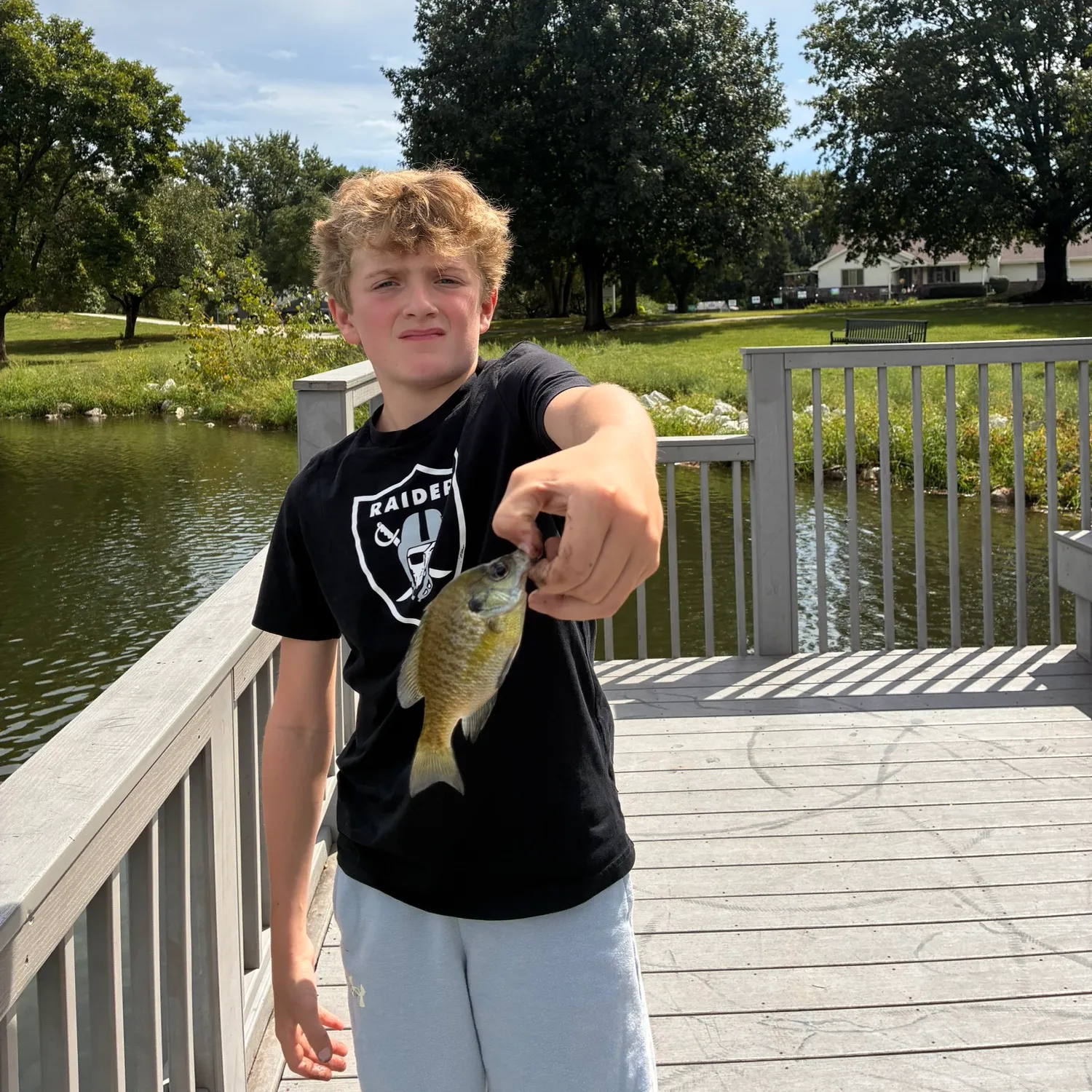 Bluegill caught on Fishbrain