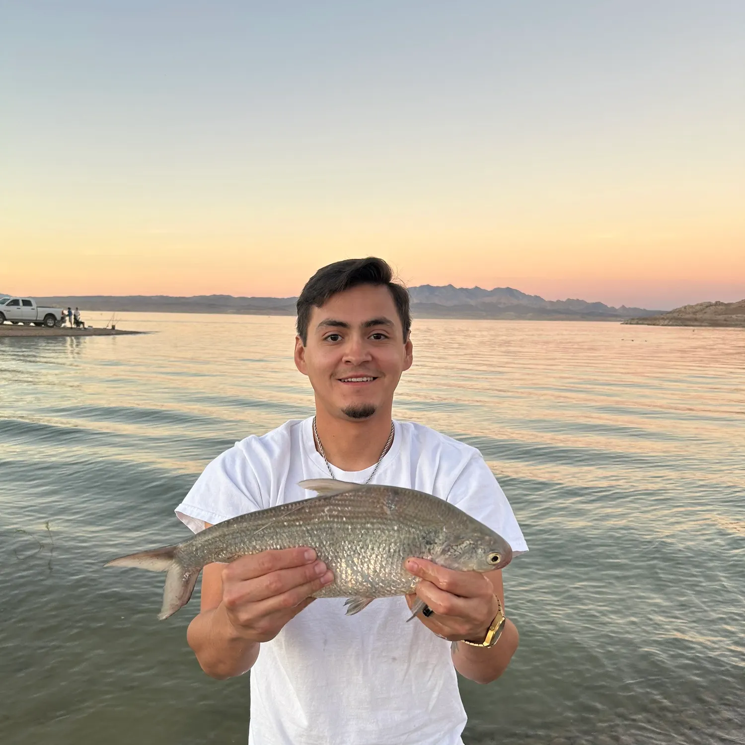 The most recent Mooneye catches on Fishbrain