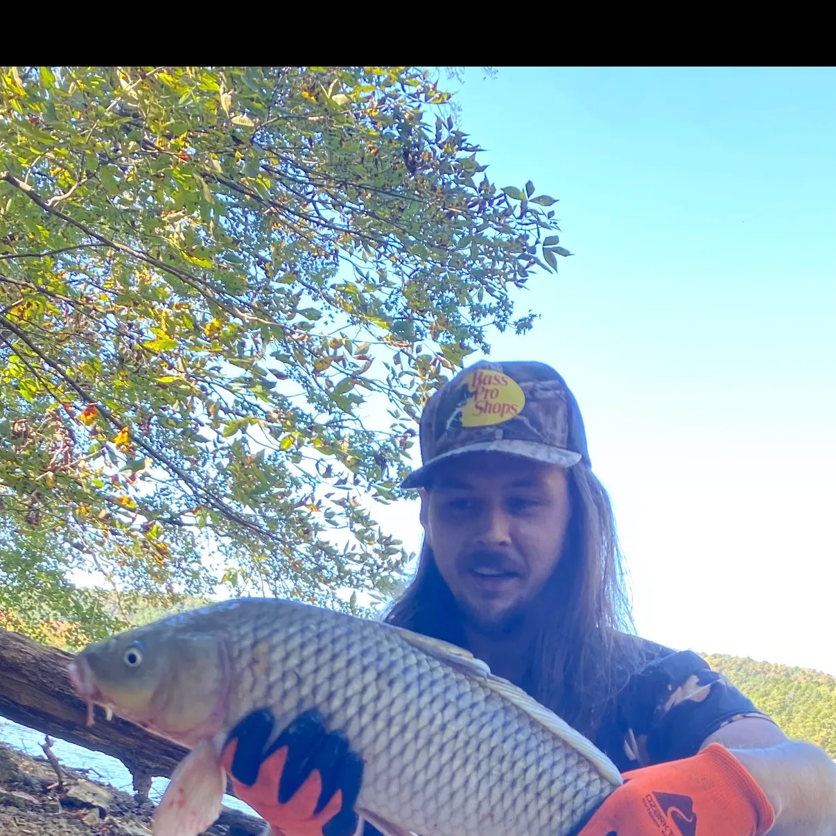 Common carp caught on Fishbrain