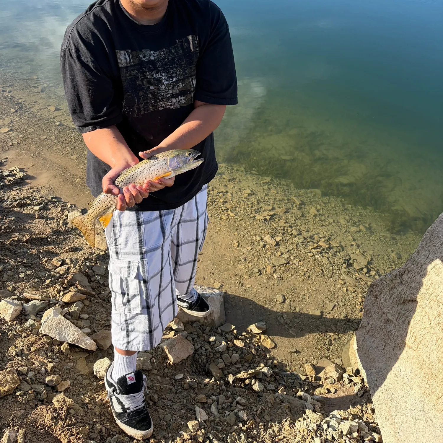 Rainbow trout caught on Fishbrain