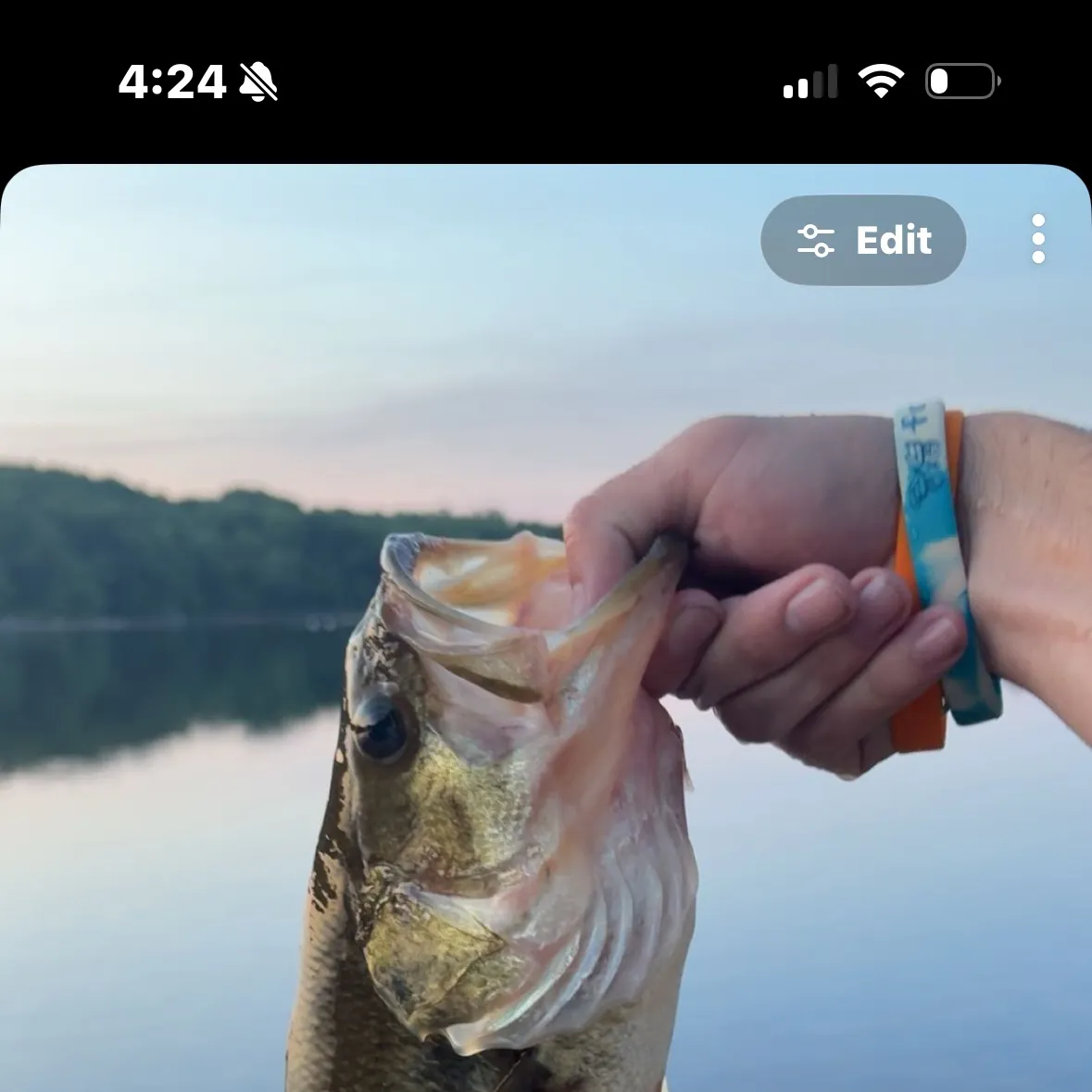 recently logged catches