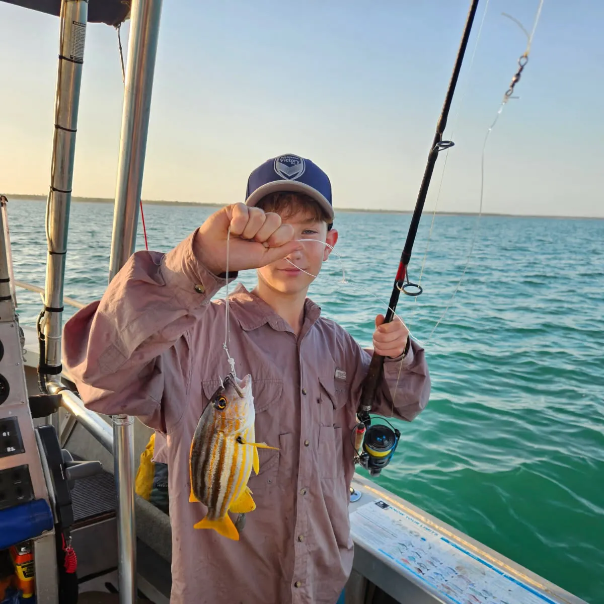 Bluestriped grunt caught on Fishbrain