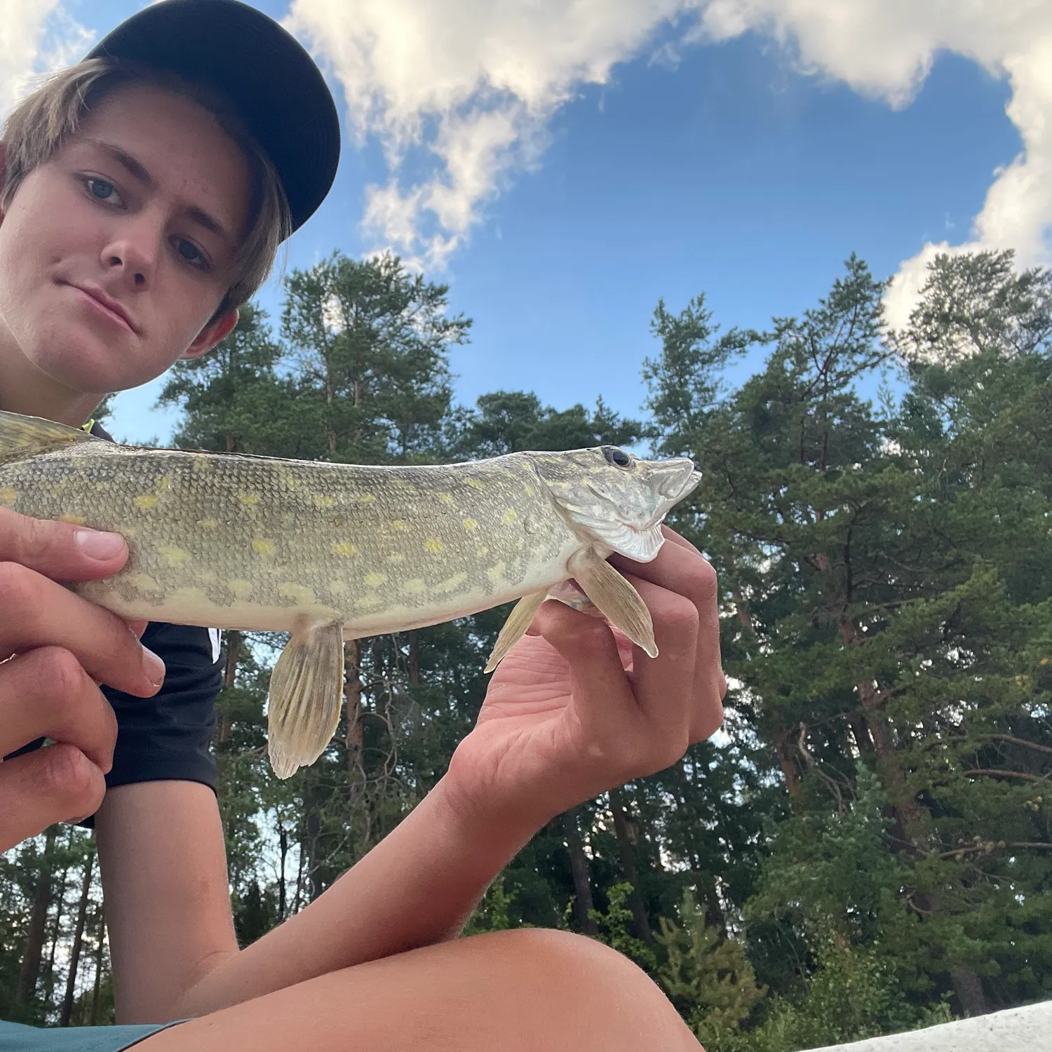 Northern pike caught on Fishbrain
