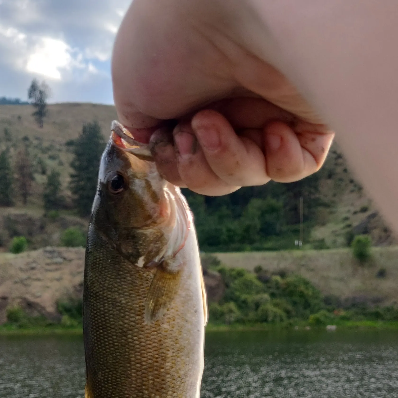 most liked catch image