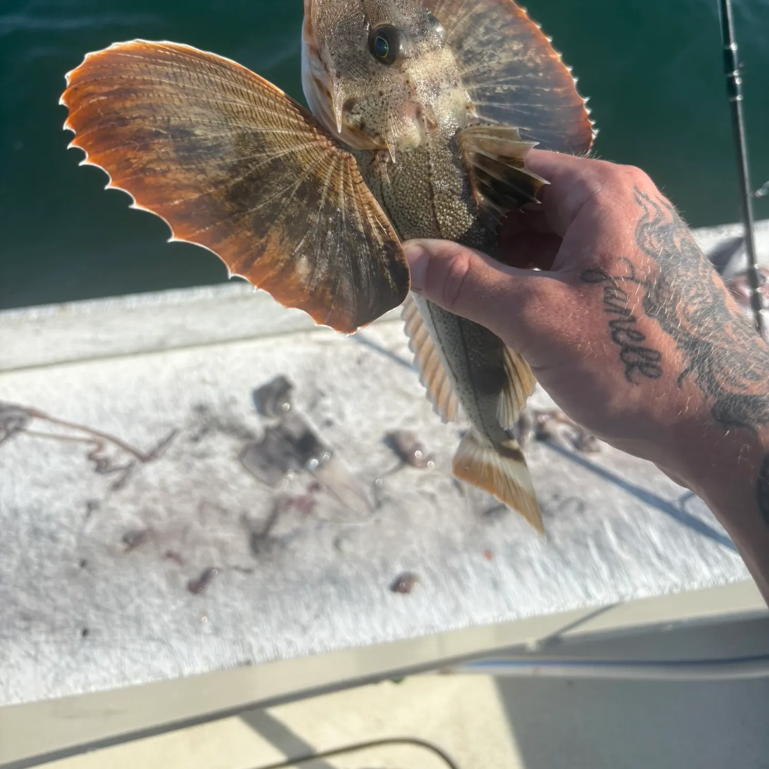 catch