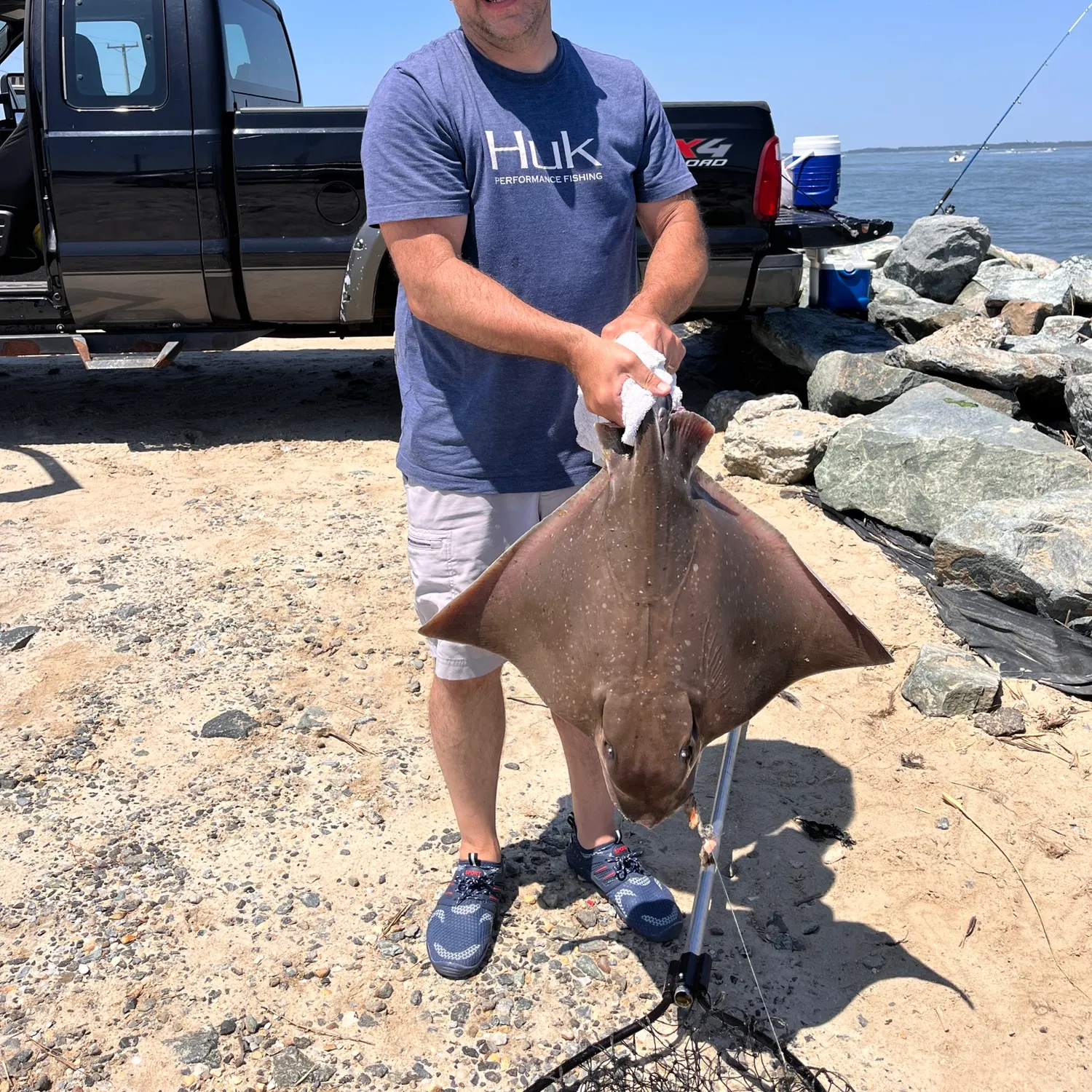 The most recent Sharpnose stingray catches on Fishbrain