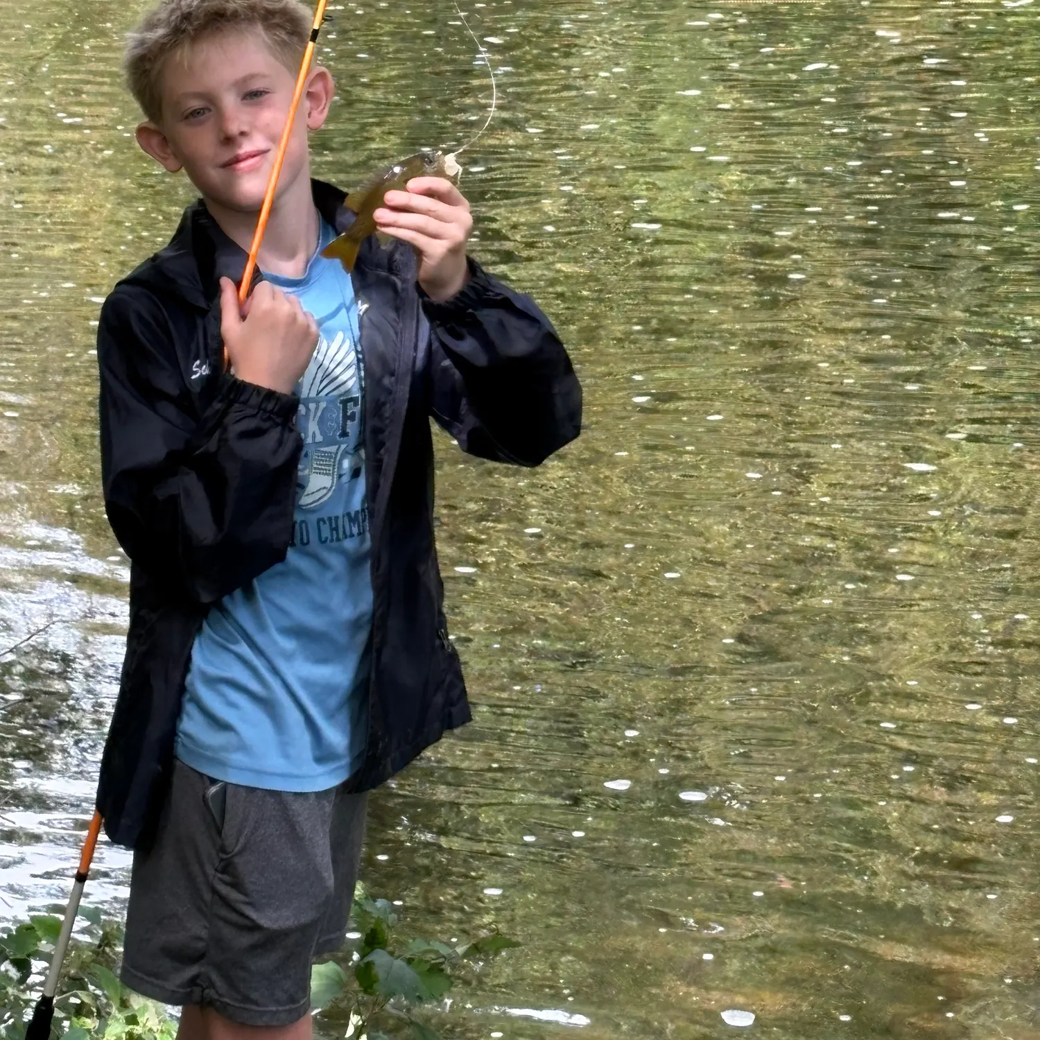 Bluegill caught on Fishbrain