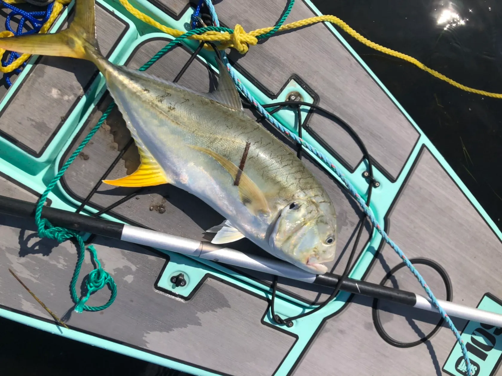 Post image from fcoryell