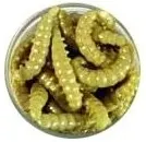 Power Honey Worm