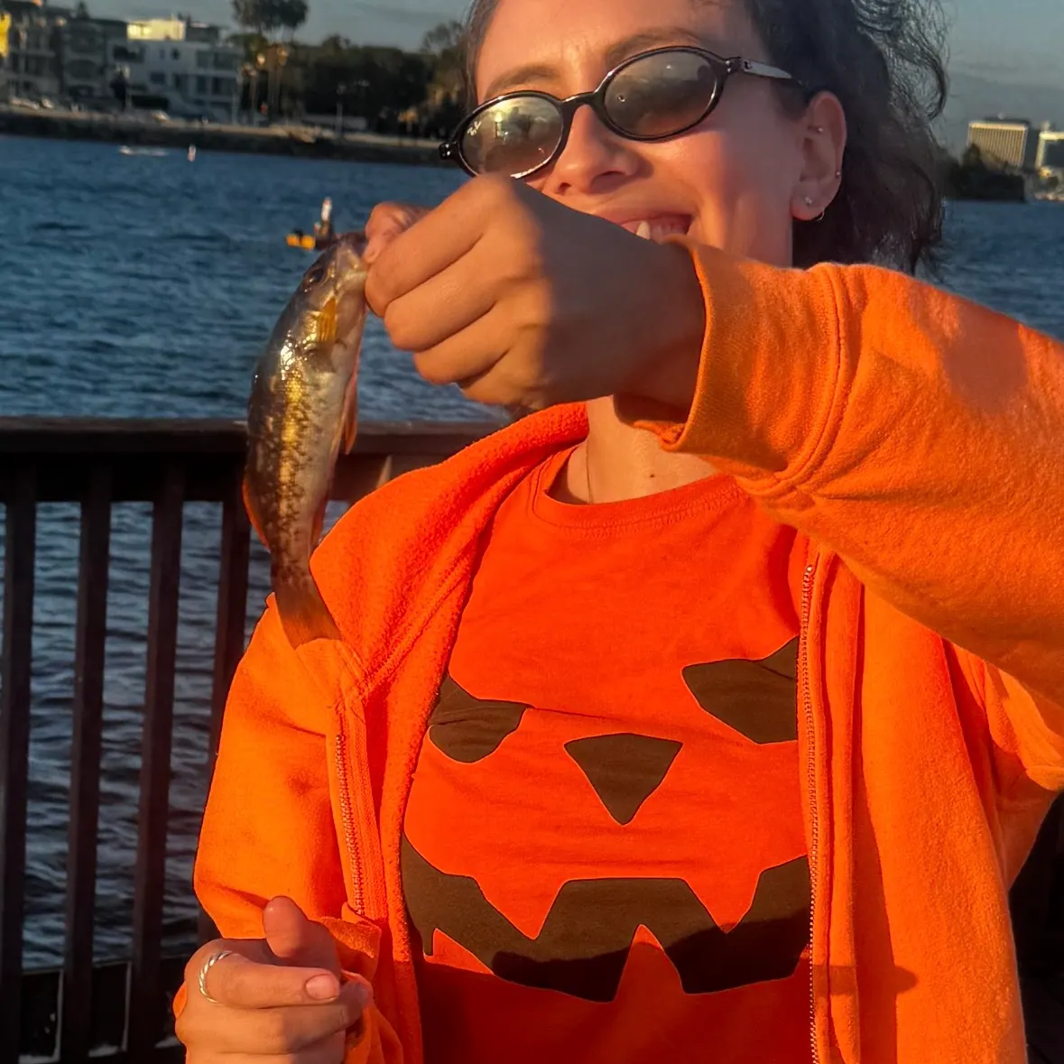 Spotted sand bass caught on Fishbrain