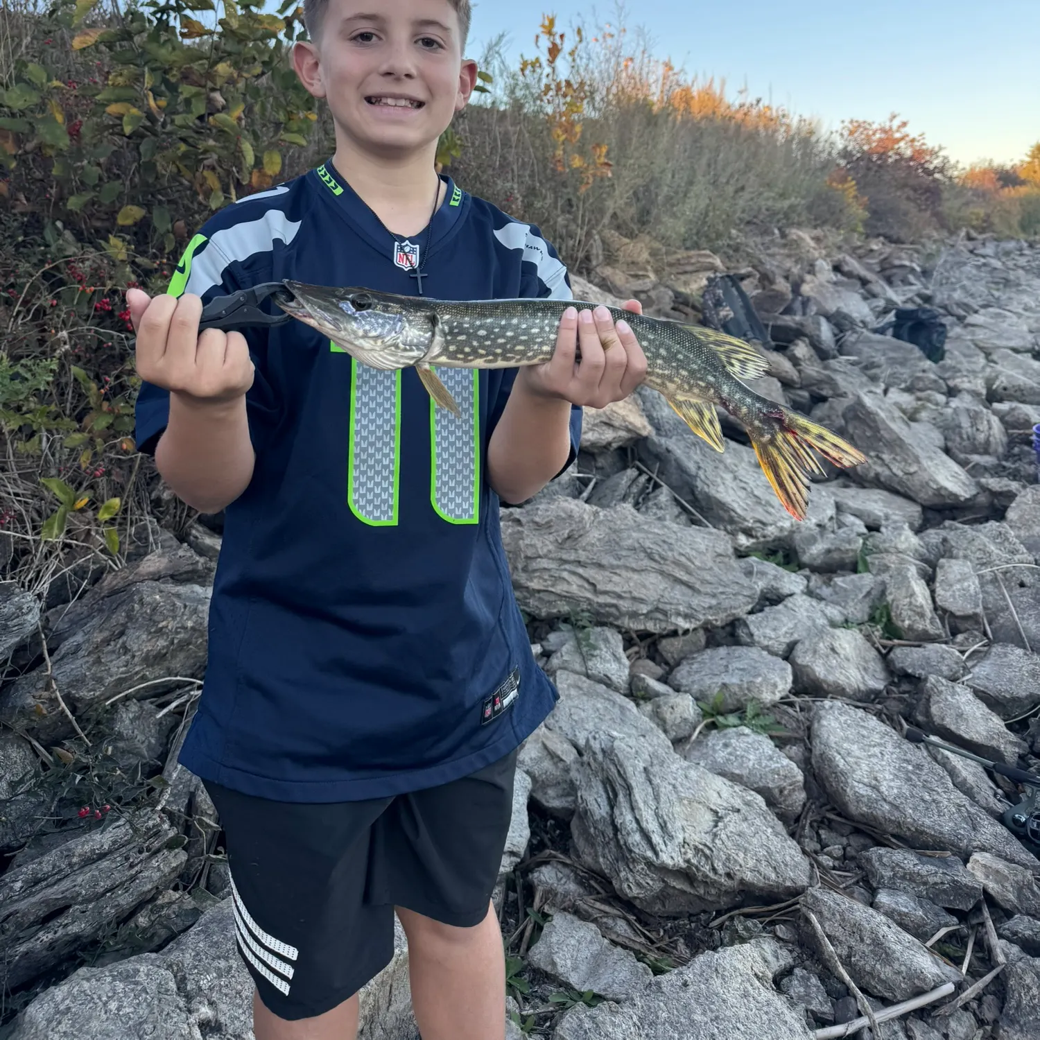 Northern pike caught on Fishbrain