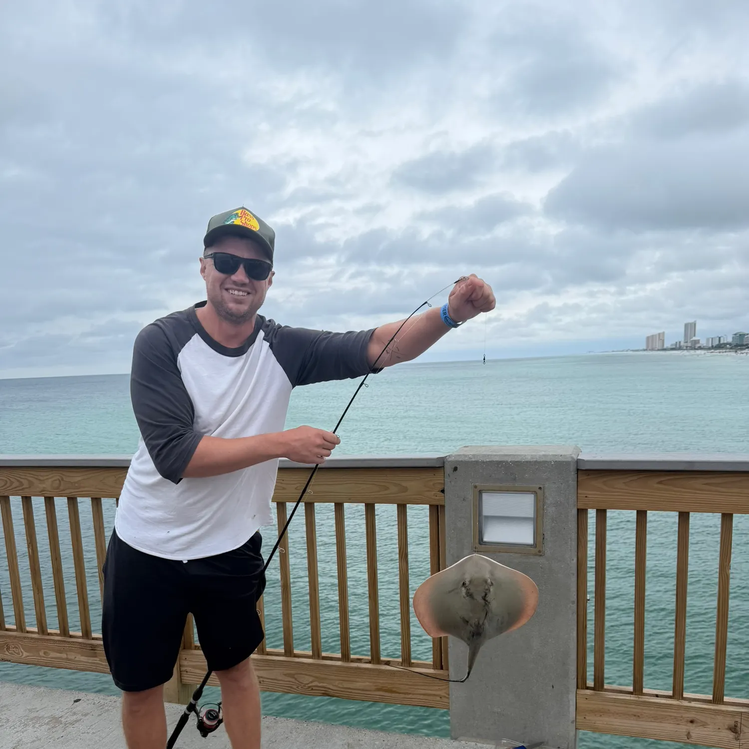 Atlantic stingray caught on Fishbrain