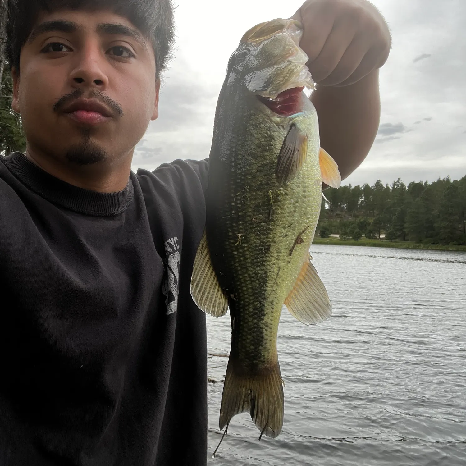 Largemouth bass caught on Fishbrain