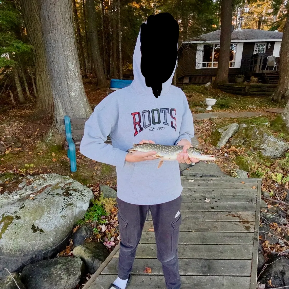 Northern pike caught on Fishbrain