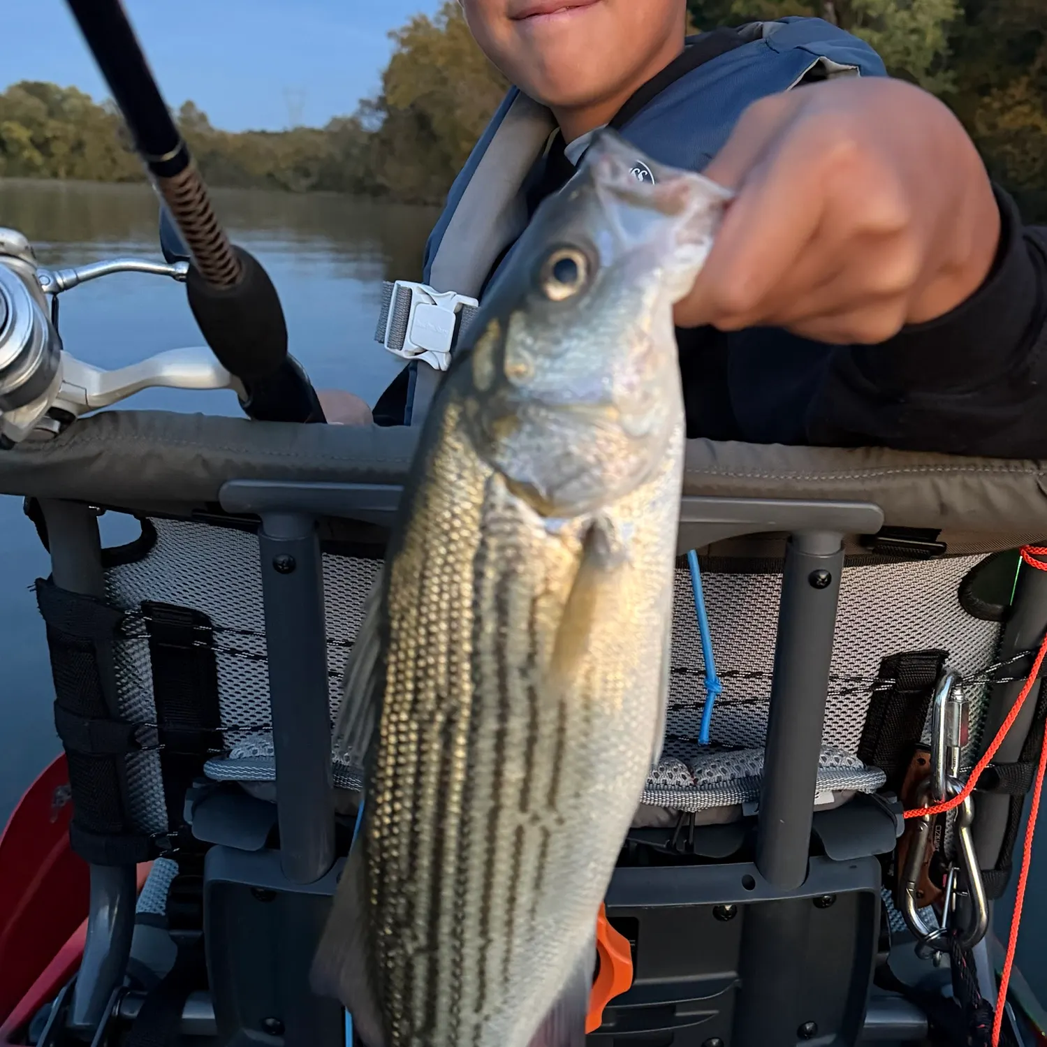 Striped bass caught on Fishbrain