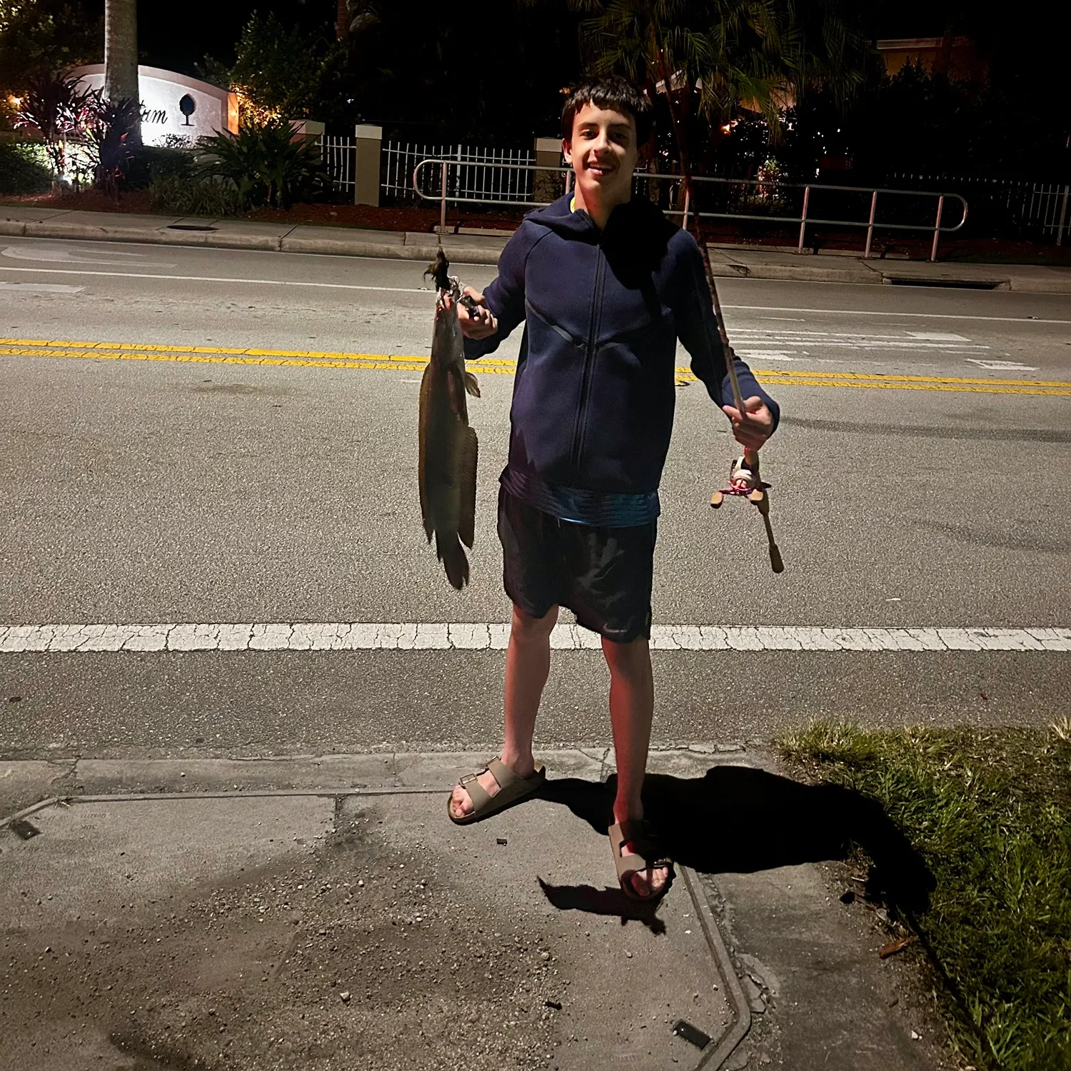 The most recent Bullseye snakehead catches on Fishbrain